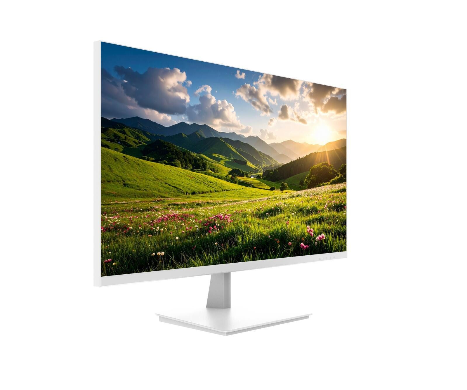 JAPANNEXT TFT-Monitor (3840 x 2160, 5 ms Reaktionszeit, 60 Hz, ELED)