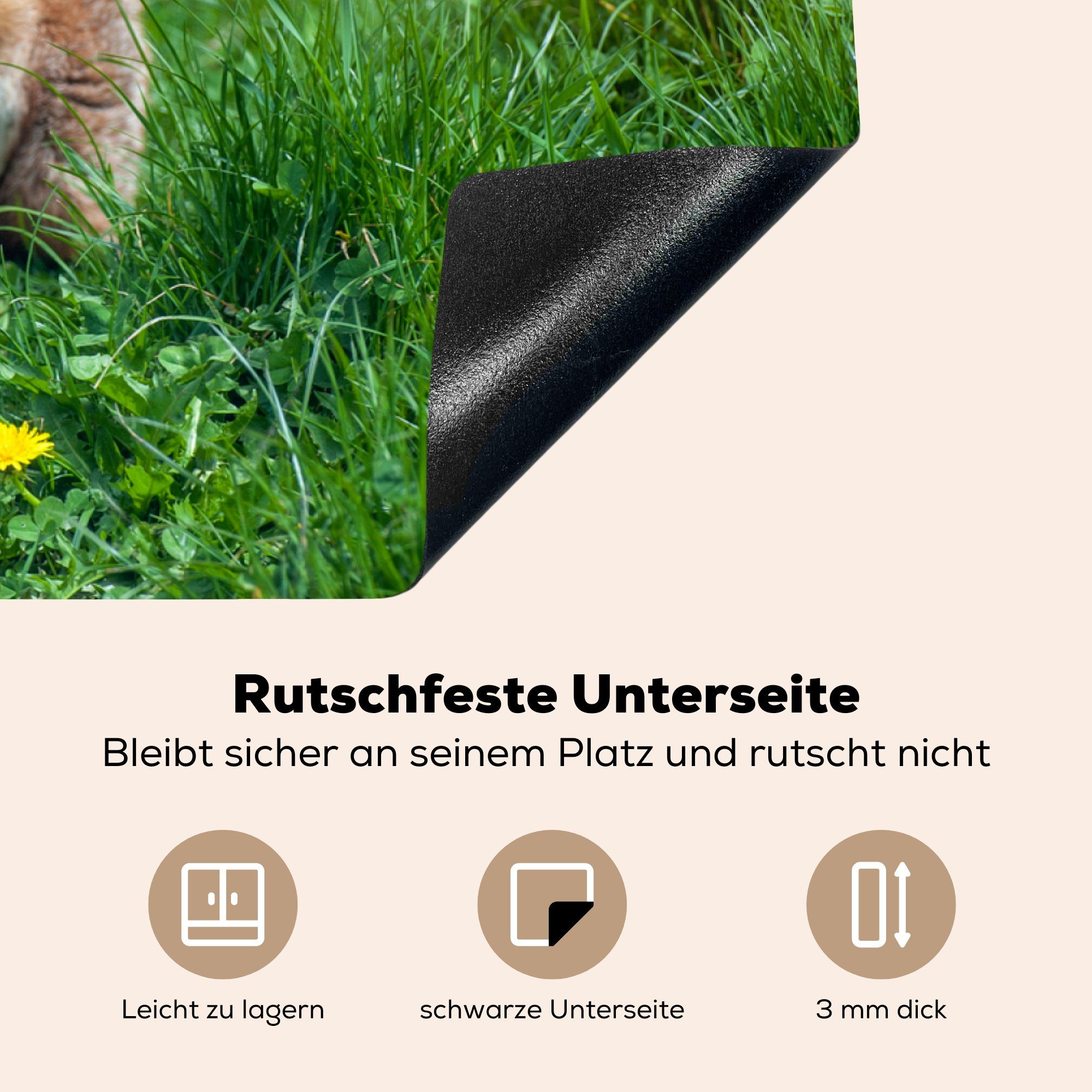 MuchoWow Herdblende-/Abdeckplatte Gras tlg), cm, Baum, 81x52 Ceranfeldabdeckung Induktionskochfeld Fuchs - für die küche, (1 Vinyl, Schutz 