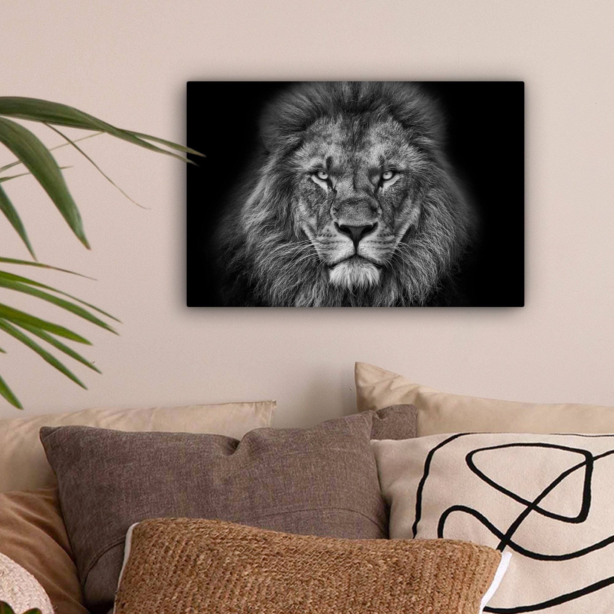 OneMillionCanvasses® Leinwandbild Tiere - Löwe - Schwarz - Weiß - Porträt, günstig online kaufen