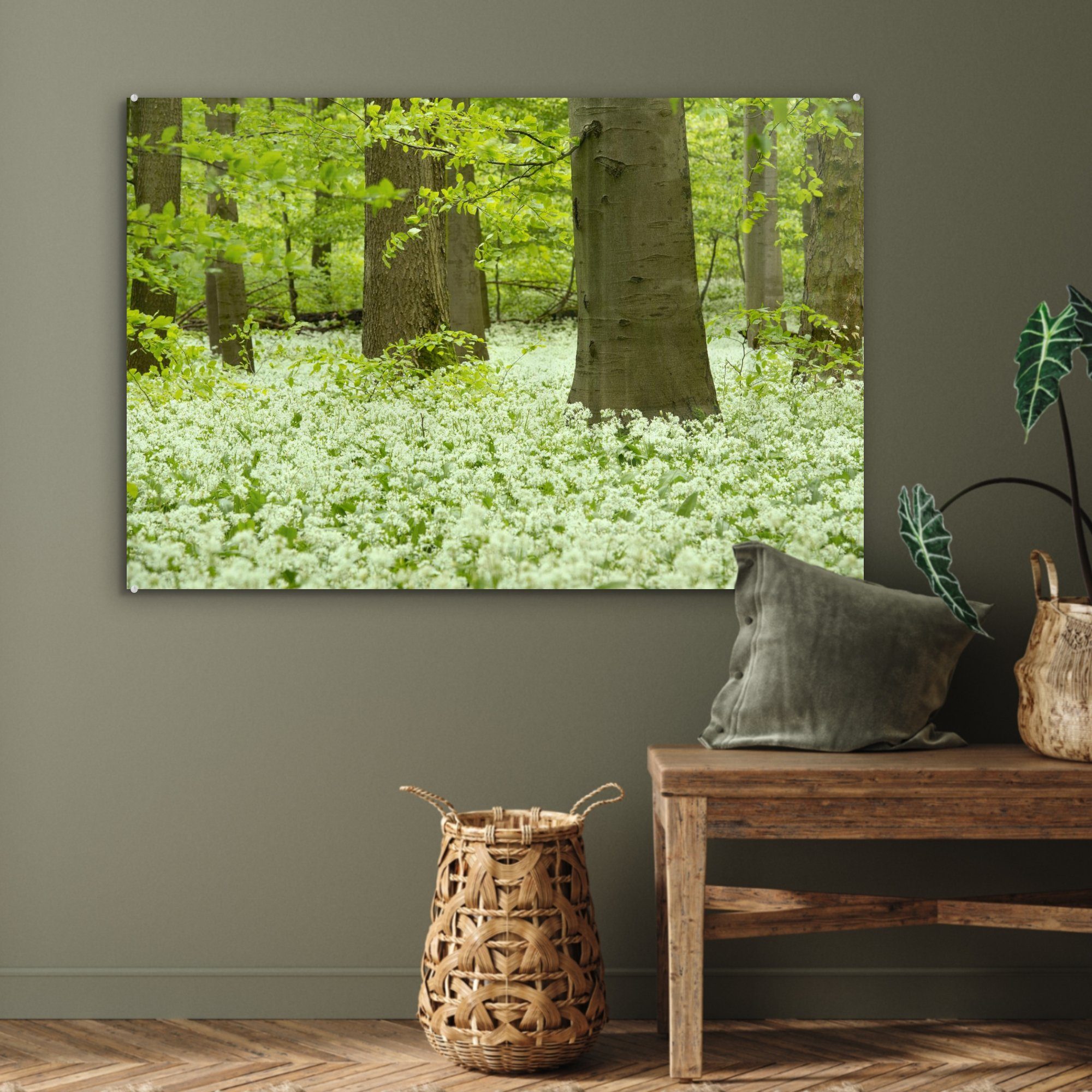 (1 Schlafzimmer MuchoWow den, St), Acrylglasbilder Wohnzimmer grünen zwischen mit dem & Acrylglasbild deutsche Der Hainich Nationalpark Gras