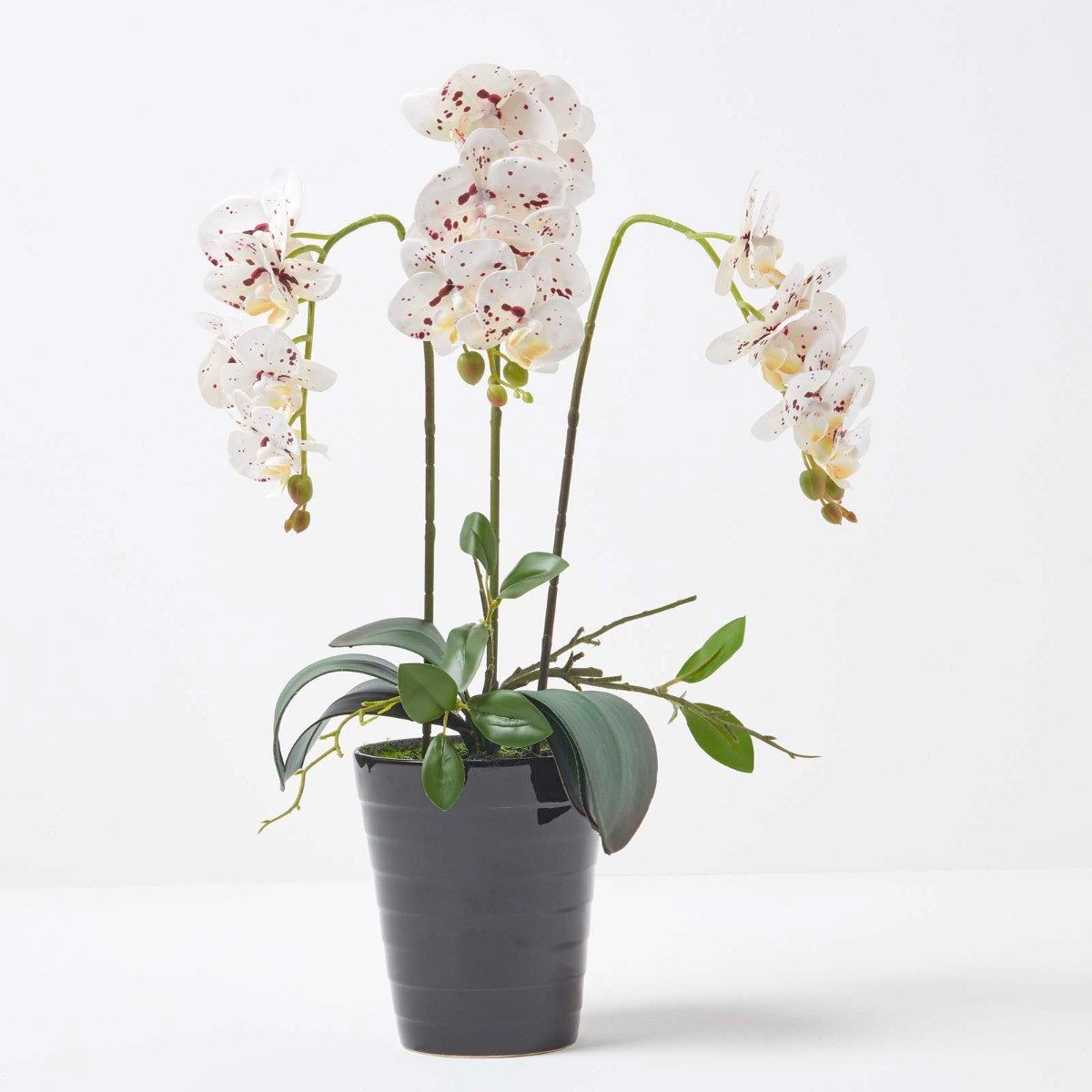 Kunstorchidee Künstliche weiße Phalaenopsis-Orchidee im schwarzen Keramik-Topf 56cm, Homescapes