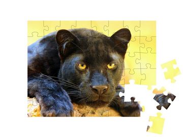puzzleYOU Puzzle Der Leopard, auch als schwarze Panther bezeichnet, 48 Puzzleteile, puzzleYOU-Kollektionen Panther, Raubtiere