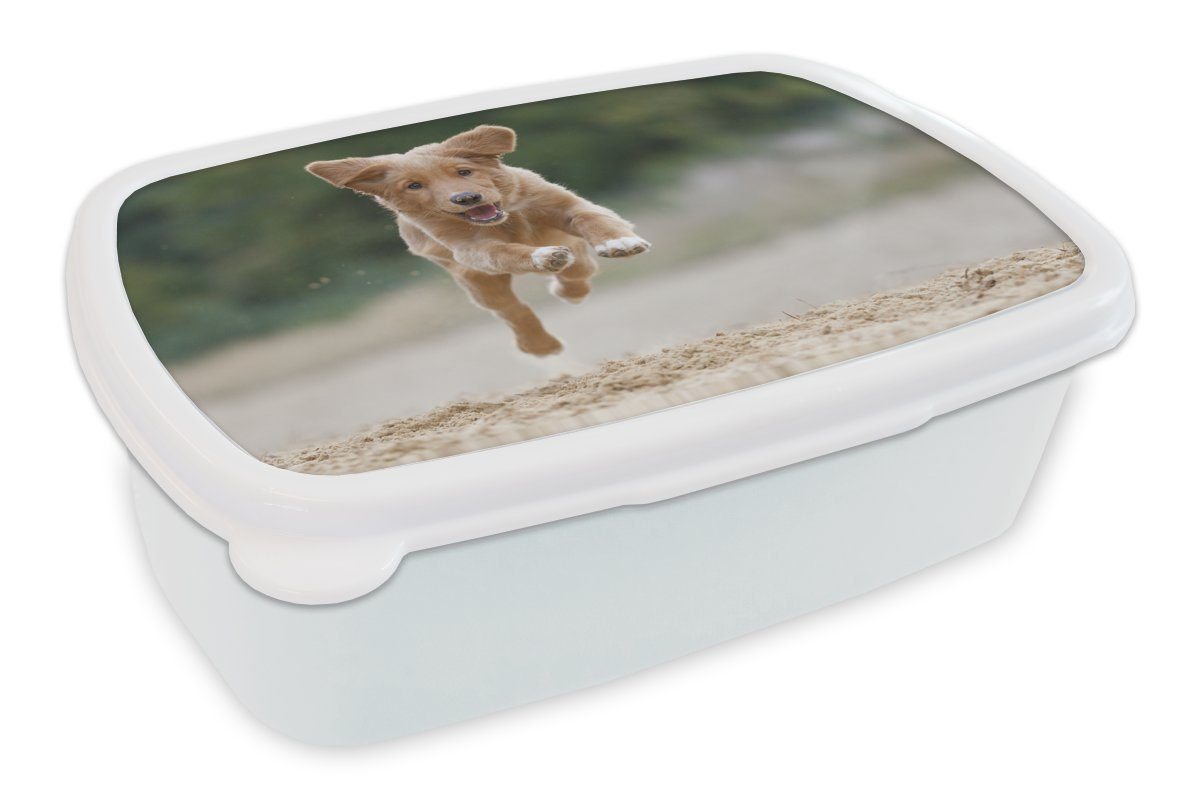 MuchoWow Lunchbox Laufender Hund Foto, Kunststoff, (2-tlg), Brotbox für Kinder und Erwachsene, Brotdose, für Jungs und Mädchen weiß