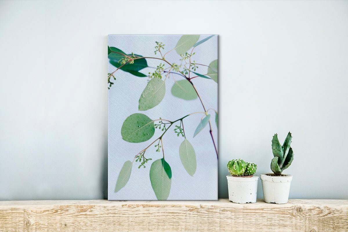 Blättern, bespannt St), (1 Leinwandbild Eukalyptuszweige OneMillionCanvasses® Gemälde, inkl. fertig Leinwandbild mit 20x30 Zackenaufhänger, cm