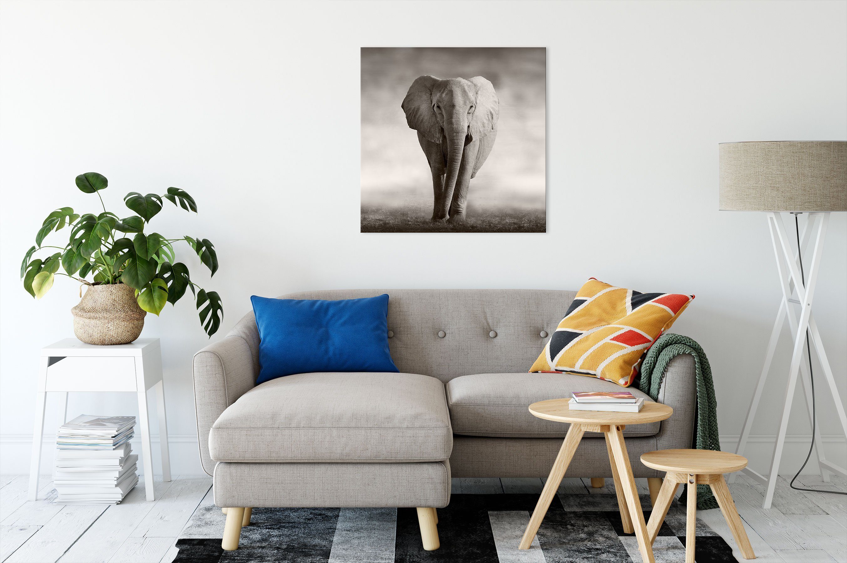 Einsamer Leinwandbild Leinwandbild Zackenaufhänger Einsamer St), Elefant, bespannt, Pixxprint fertig (1 Elefant inkl.