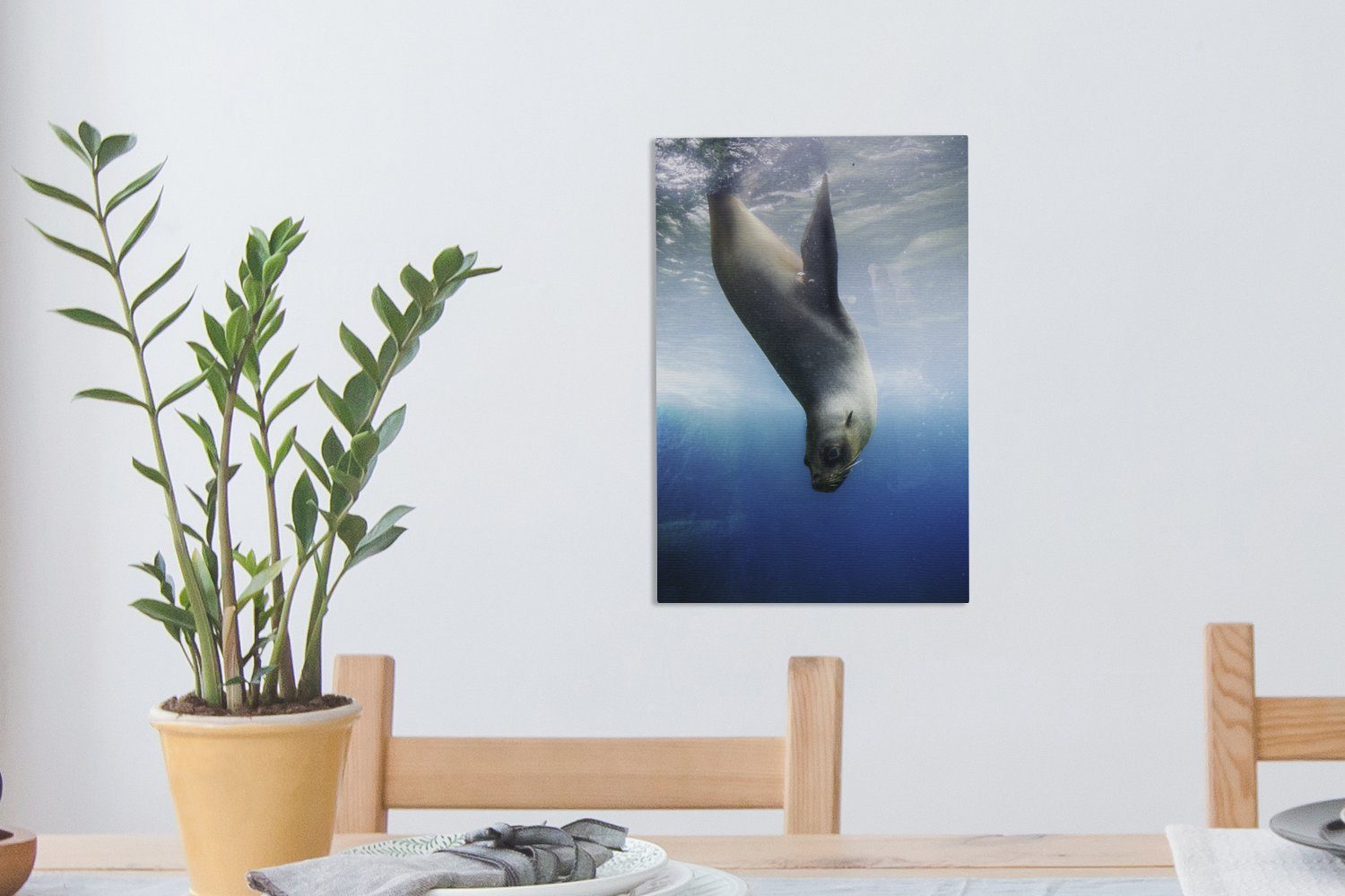 OneMillionCanvasses® Leinwandbild bespannt Gemälde, 20x30 taucht St), ins Wasser, fertig (1 Zackenaufhänger, inkl. Seelöwe cm Leinwandbild
