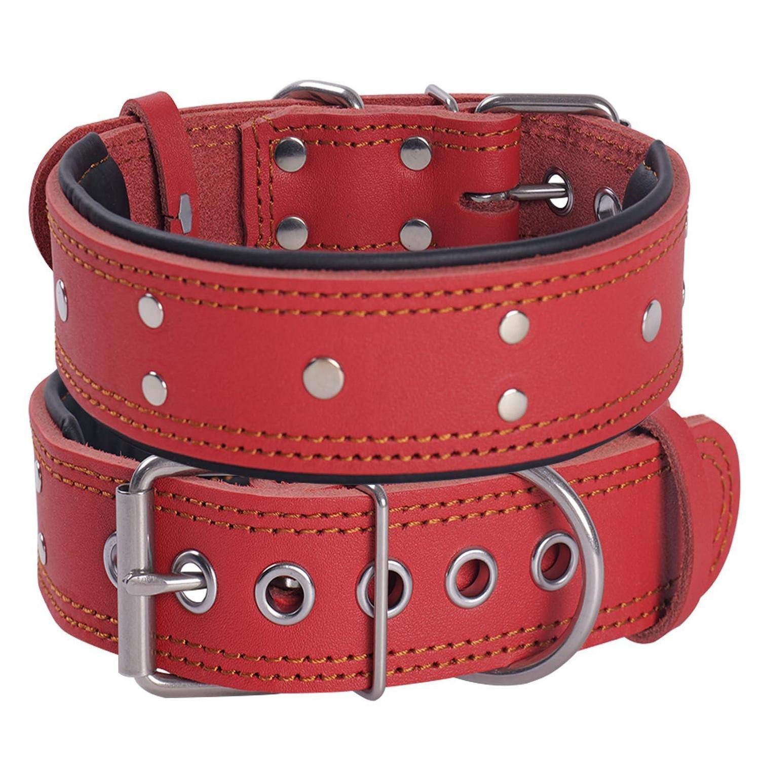 LuxusKollektion Hunde-Halsband Hundehalsband Leder XL Rot Gepolstert