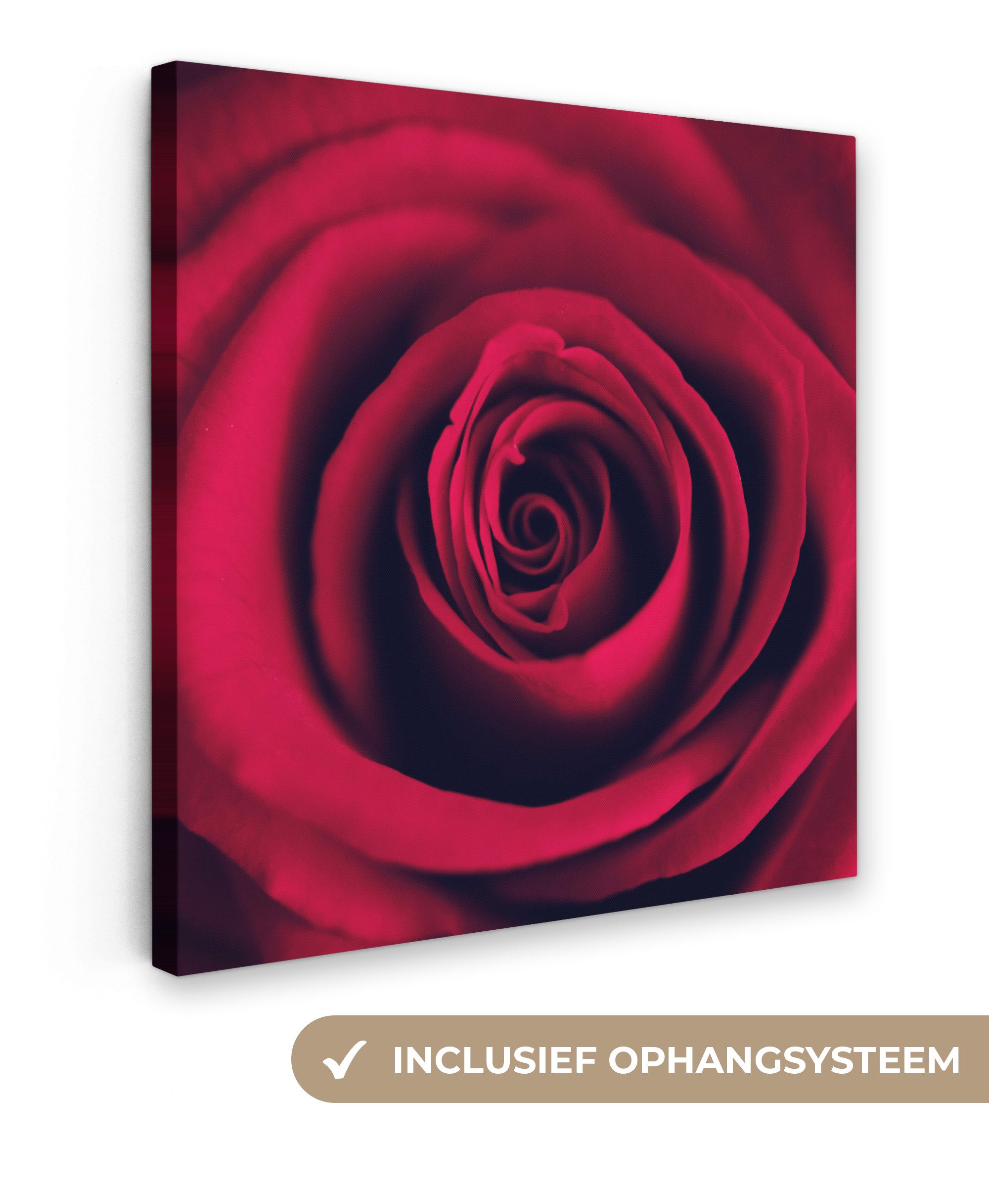 OneMillionCanvasses® Leinwandbild Rosen - Rot - Blumen, Fotodruck (1 St), Wandbild, Deko Schlafzimmer Wohnzimmer Flur 20x20 cm