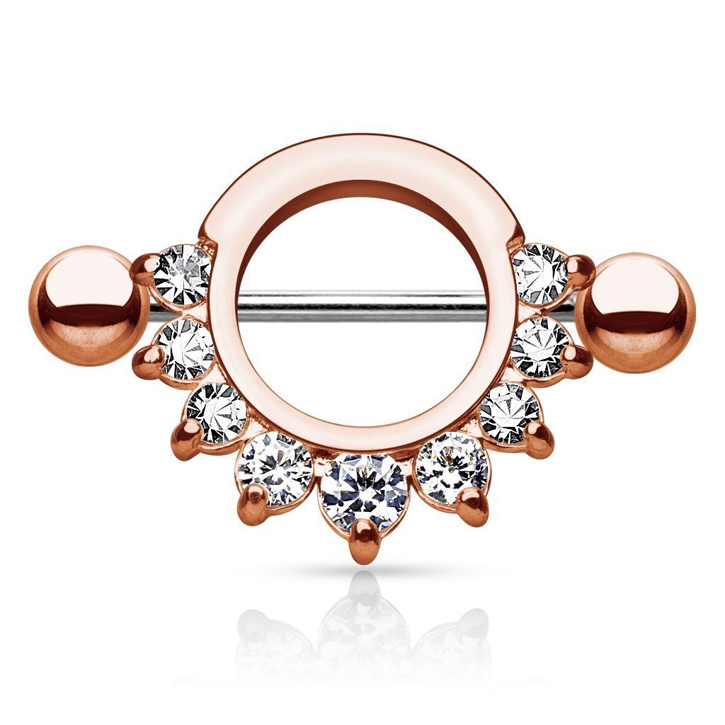 Taffstyle Intimpiercing Intim Brust Intimpiercing Schild günstig online kaufen