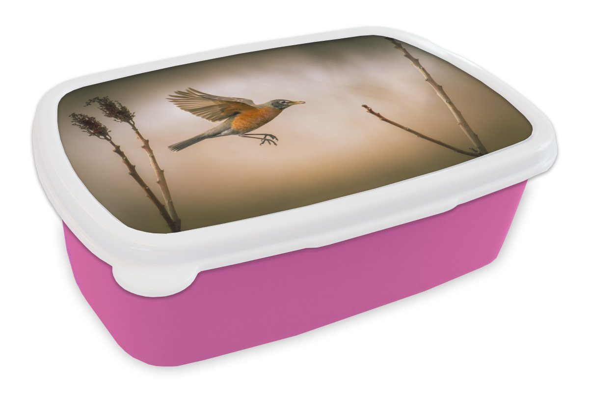 MuchoWow Lunchbox Rotkehlchen - Flügel - Natur, Kunststoff, (2-tlg), Brotbox für Erwachsene, Brotdose Kinder, Snackbox, Mädchen, Kunststoff rosa