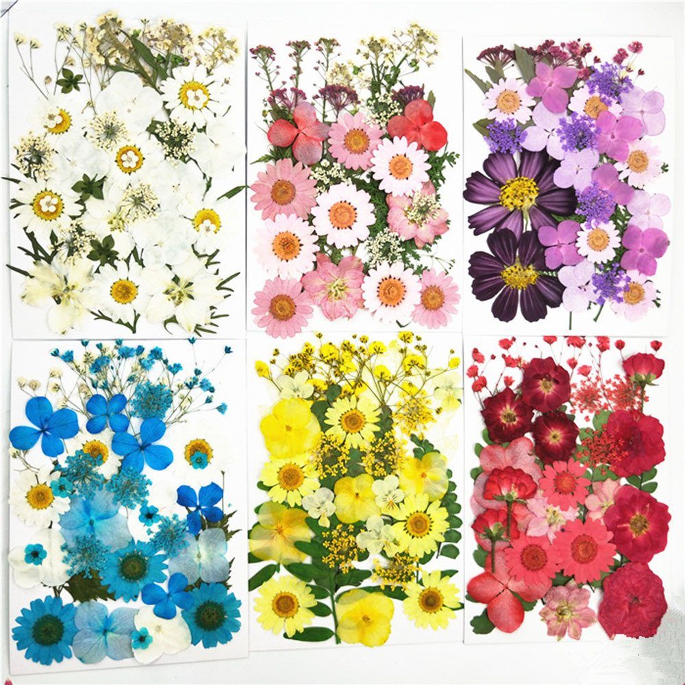Trockenblume colorfulQ Blumen, Modische Trockenblumen-Material-Set, Blusmart, DIY Trockenblume Pflanzen, Gepresste