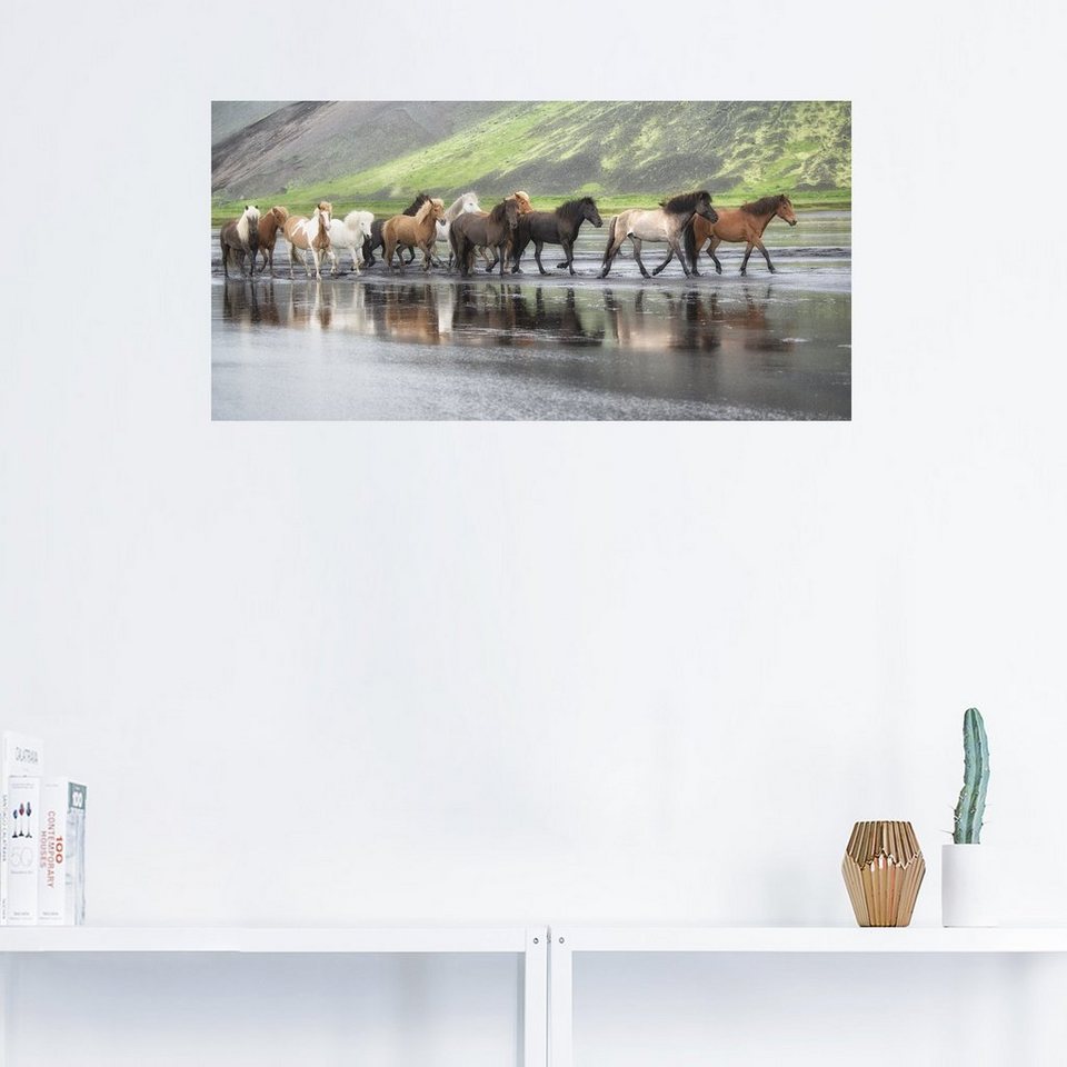 Artland Wandbild Isländische Pferde XIV, Haustiere (1 St), als Leinwandbild,  Wandaufkleber in verschied. Größen
