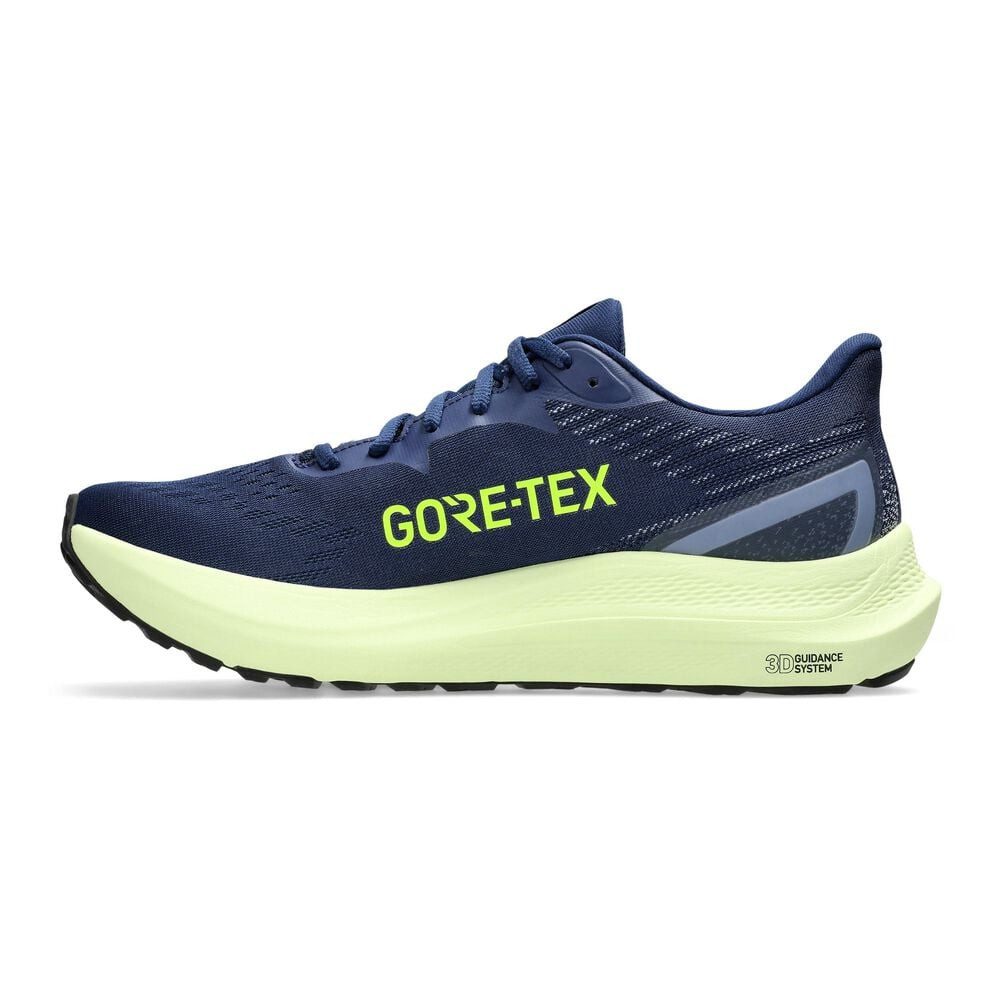 Asics Gt-2000 12 Gtx - Stabilitätsschuh günstig online kaufen