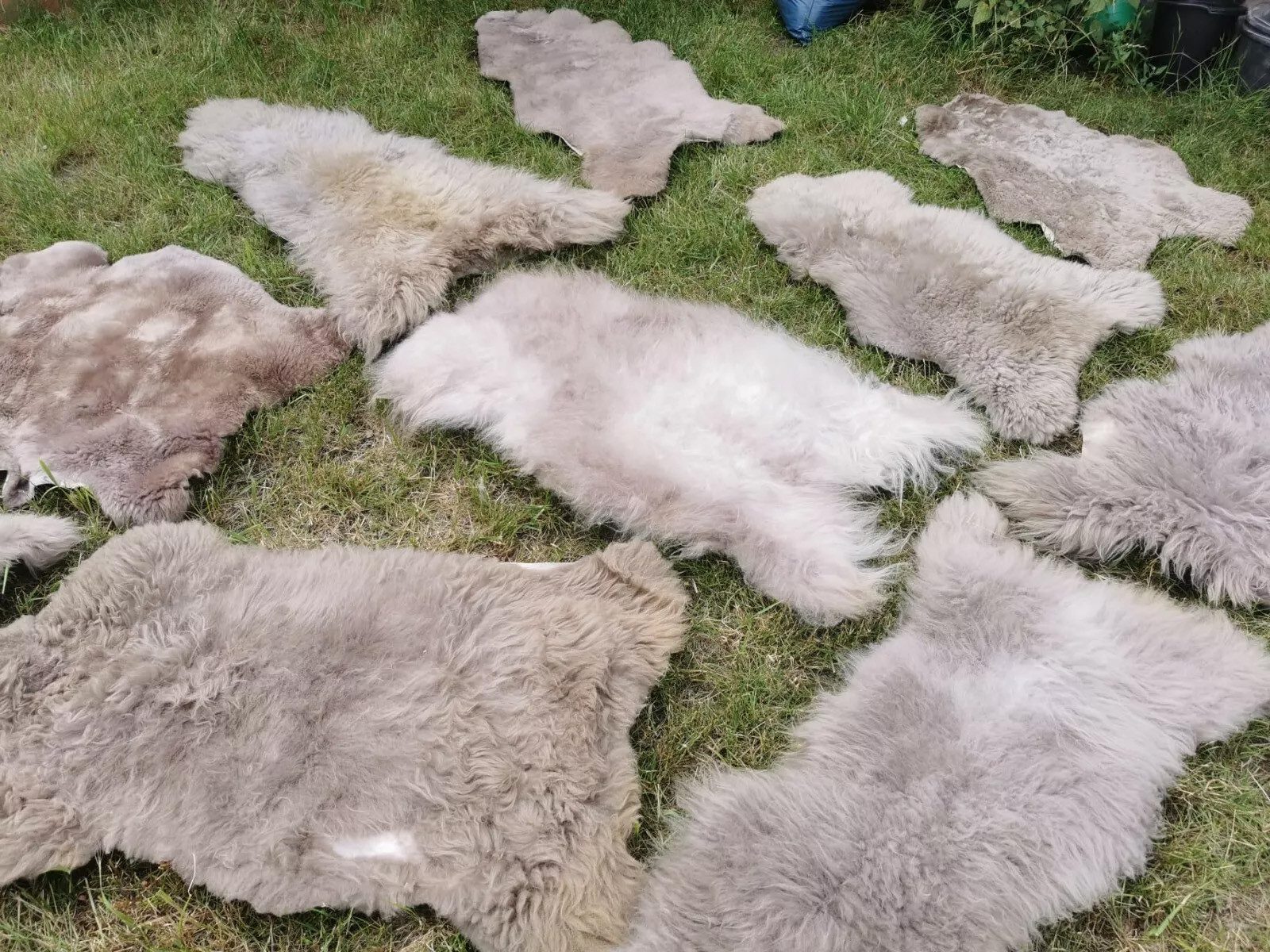 Provellus Fellteppich Öko Schaffell Lammfell Taupe 2.Wahl Bis 140 cm, 30x30cm rund – Bild 5 von 5