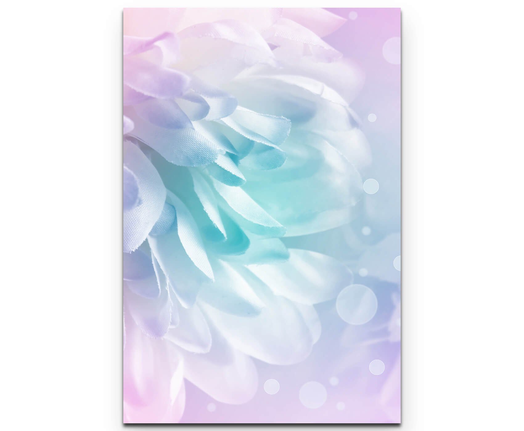 Sinus Art Leinwandbild Florales Bild  soft rosa und blau - Leinwandbild