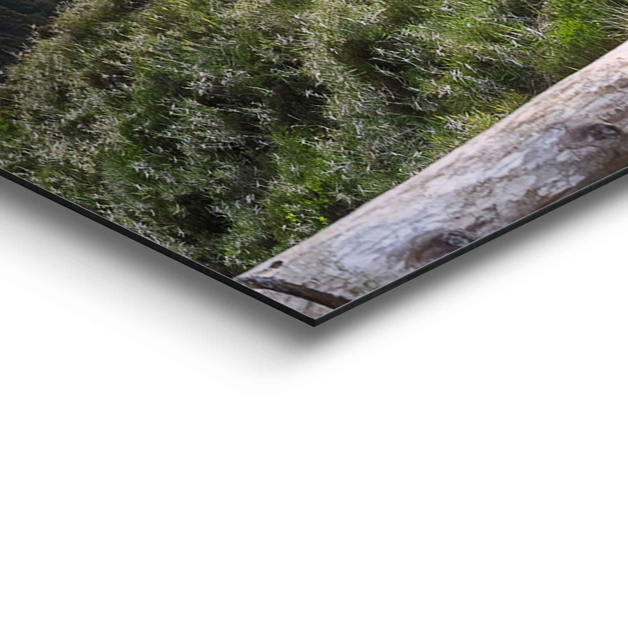 Reinders! Wandbild »Morgenröte Berge - Sonnenaufgang - Natur«, (1 Stück)-kaufen