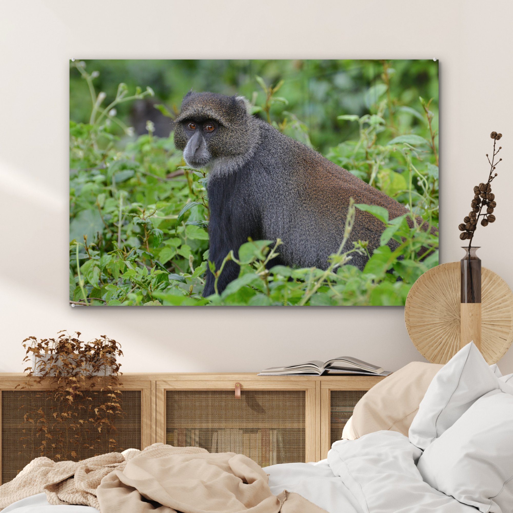 Wohnzimmer des & dichten Schlafzimmer Acrylglasbild Affe Wäldern (1 den St), MuchoWow Acrylglasbilder Neugieriger Arusha-Nationalparks, in