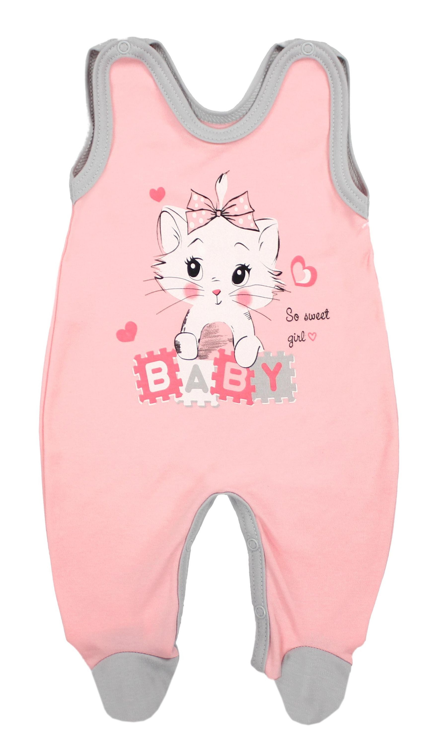 Katze Aprikose / Grau