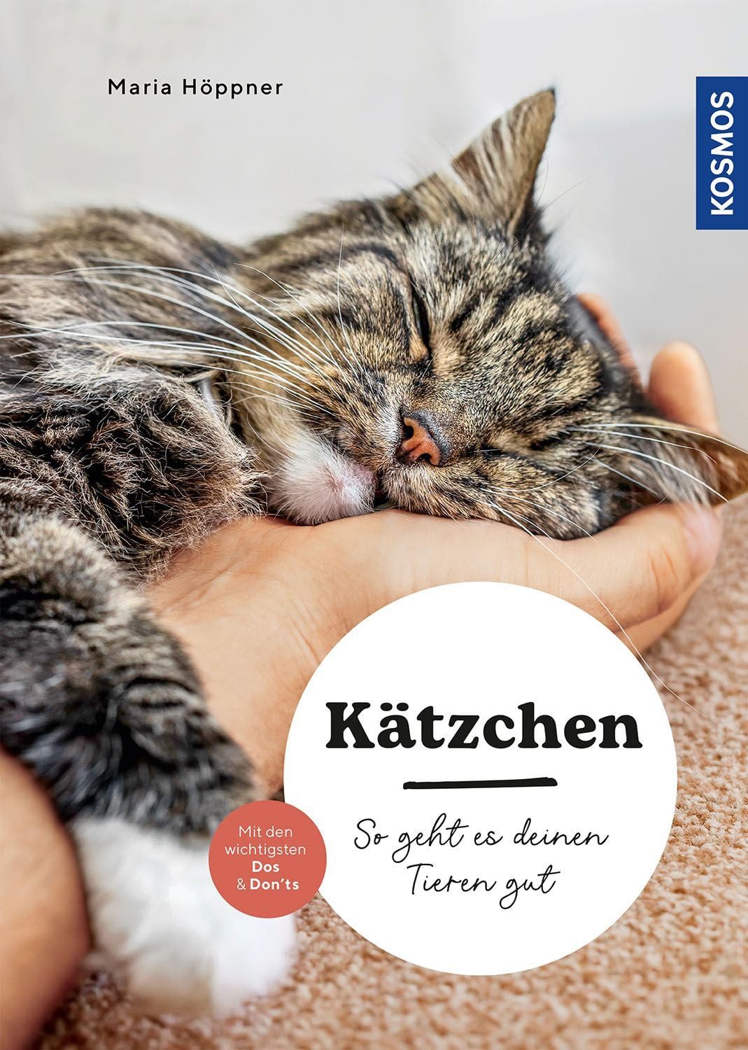 Sachbuch Kätzchen So geht es deinen Tieren gut – auswählen – halten - beschäfti Maria Höppner
