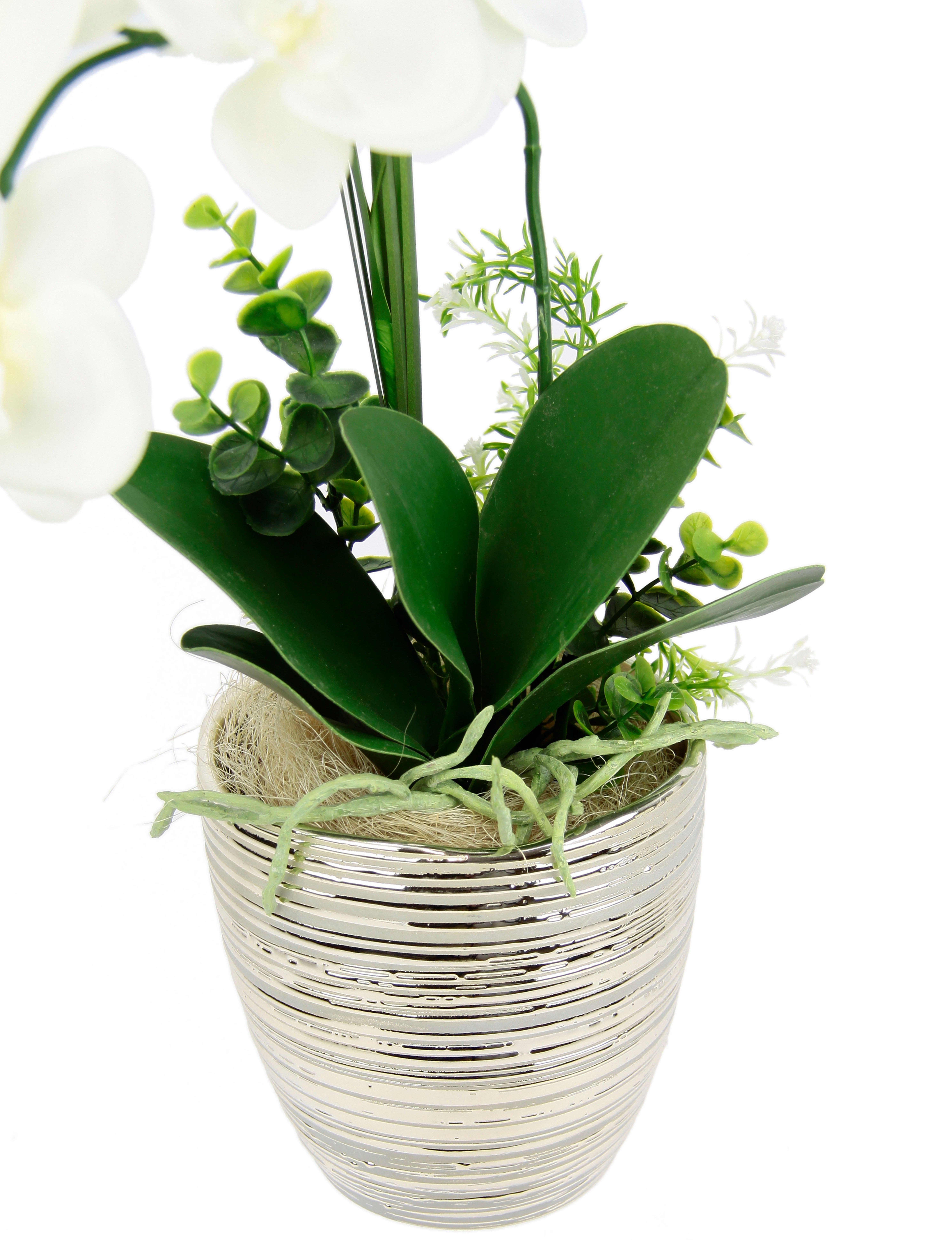 Kunstblume Arrangement Orchidee/Gras, I.GE.A., Höhe 60 cm, Topf aus Keramik günstig online kaufen