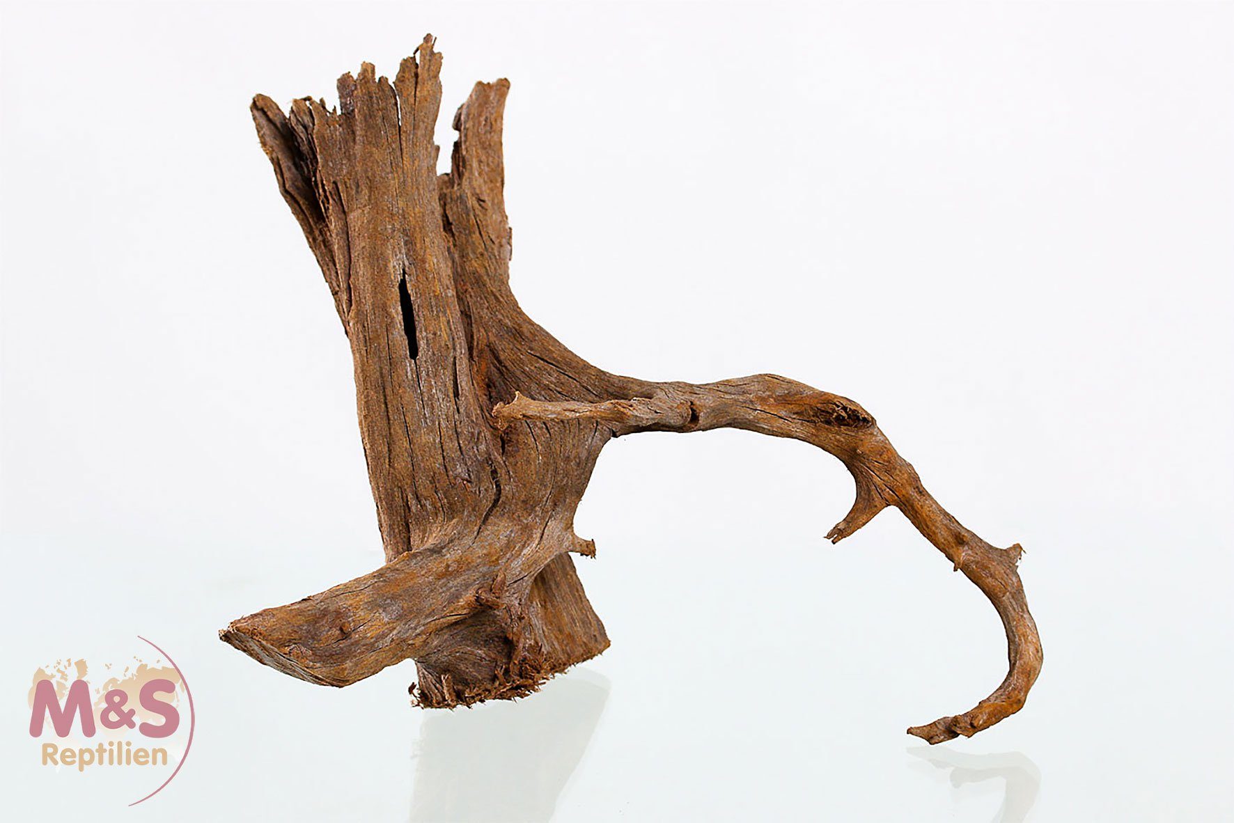 Terrarium Mangrovenwurzel - medium/Large 40-50cm