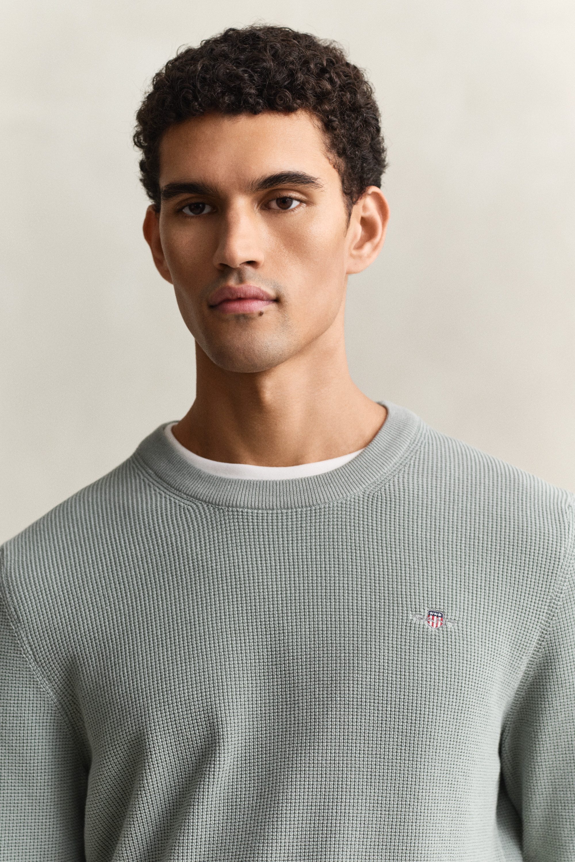 Gant Strickpullover MICRO TEXTURED COTTON C-NECK Regular fit mit Rundhalsausschnitt