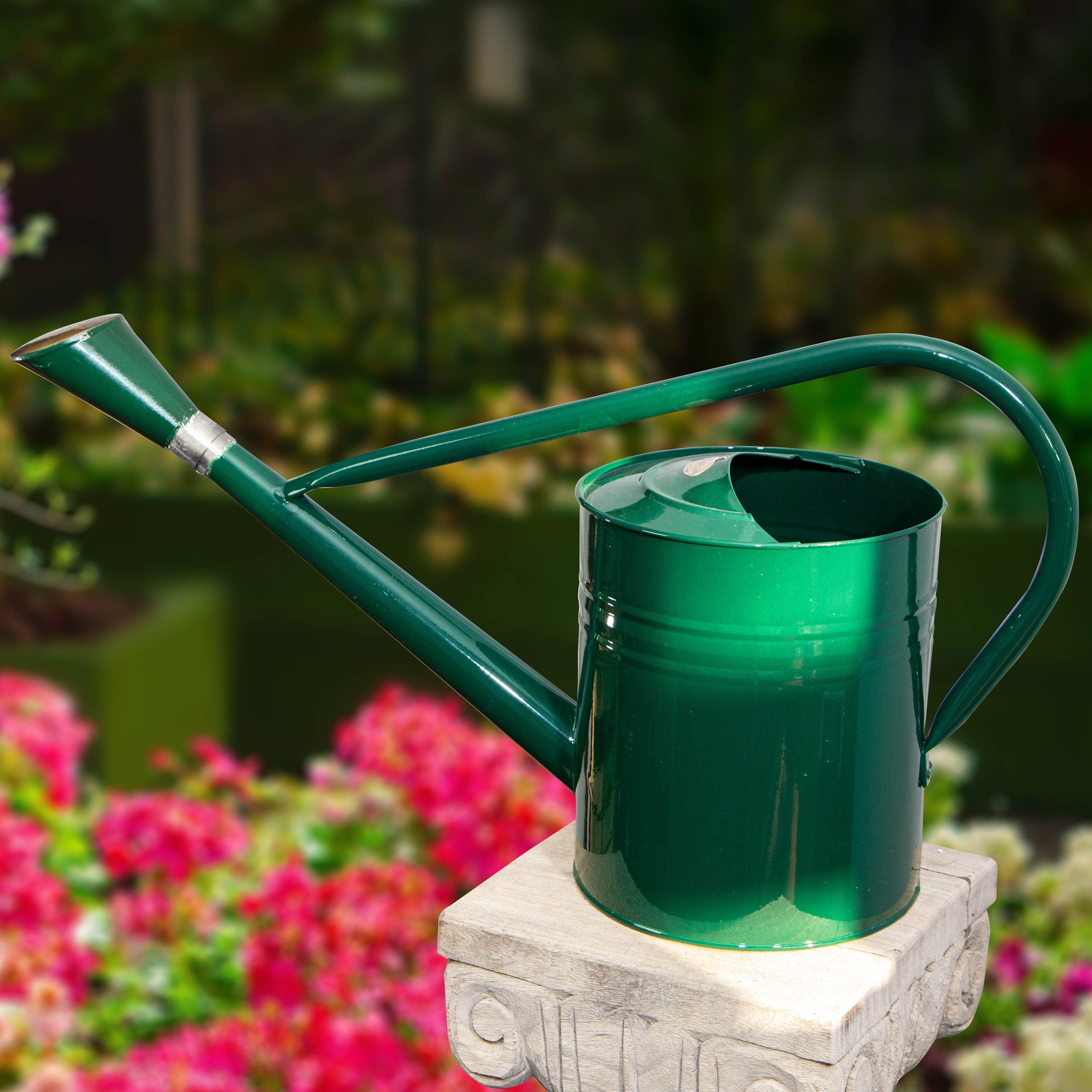 Antikas Gartenpflege-Set Gießkanne aus Eisen, XL, Grün, Deko-Kanne, Blumenbeet, 7,5 Liter