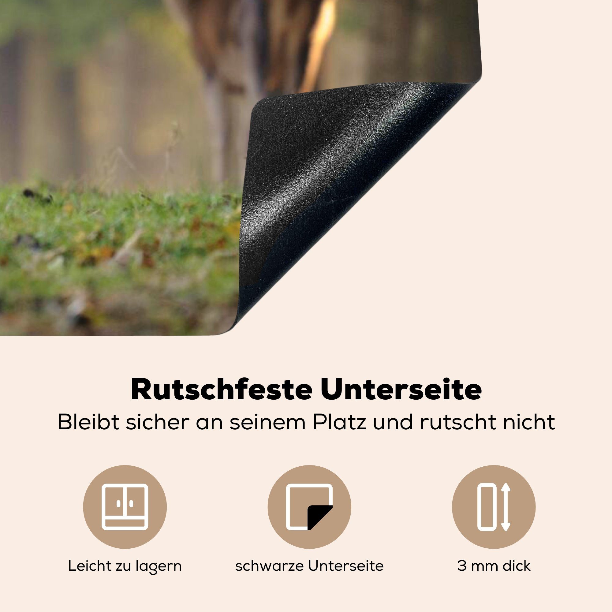 MuchoWow Herdblende-/Abdeckplatte tlg), Wald, cm, - Ceranfeldabdeckung 81x52 Induktionskochfeld für Schwein küche, (1 die Vinyl, - Schutz Hirsch