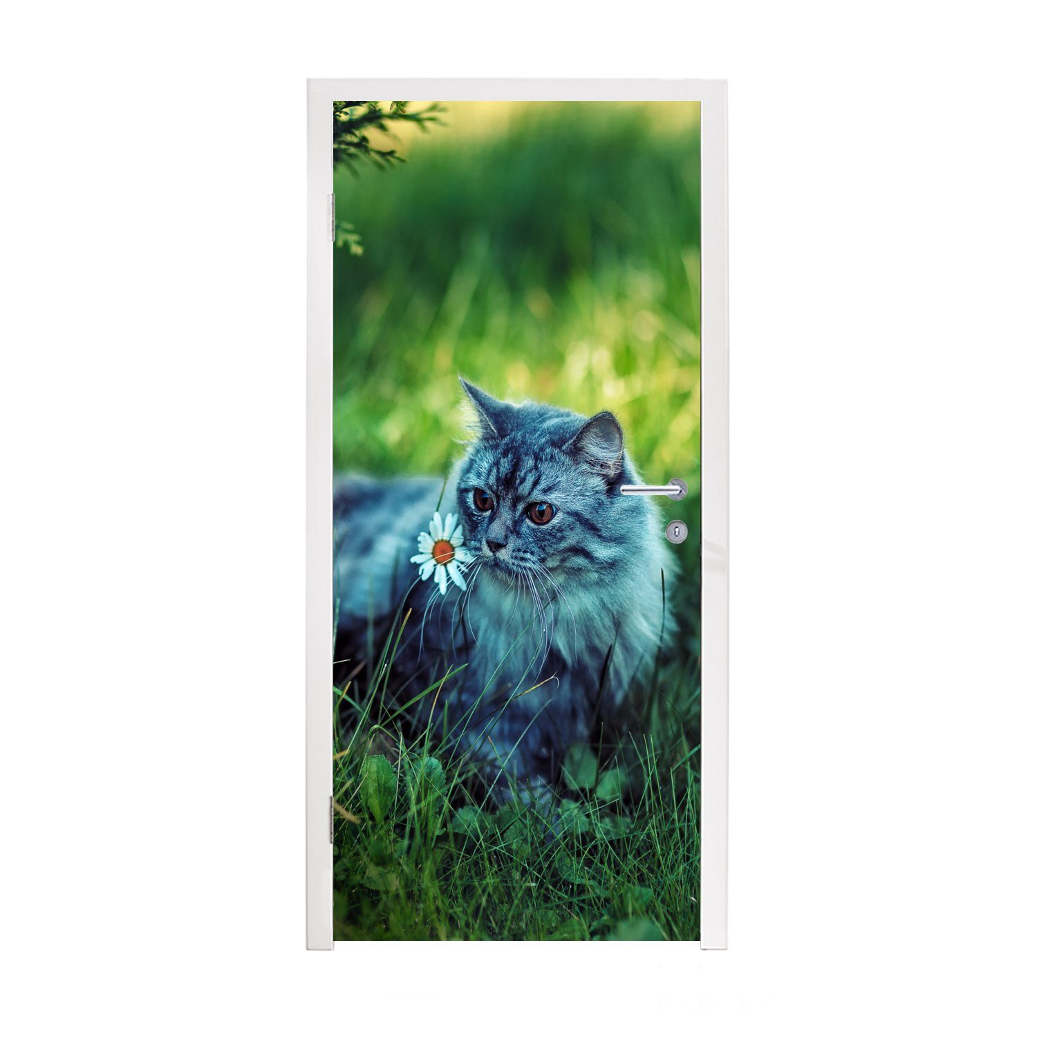 MuchoWow Türtapete Graue Katze, Matt, bedruckt, (1 St), Fototapete für Tür, Türaufkleber, 75x205 cm