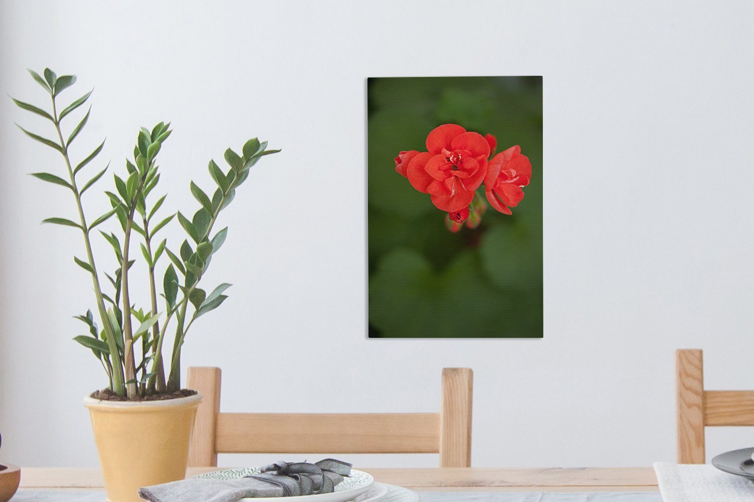 cm rote Zackenaufhänger, bespannt Leinwandbild inkl. Gemälde, 20x30 Blühende St), OneMillionCanvasses® Leinwandbild (1 fertig Geranienblüte,