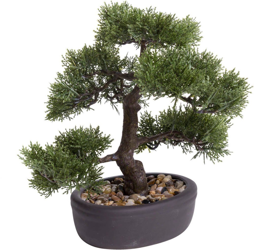 Kunstbonsai Ceder Bonsai
