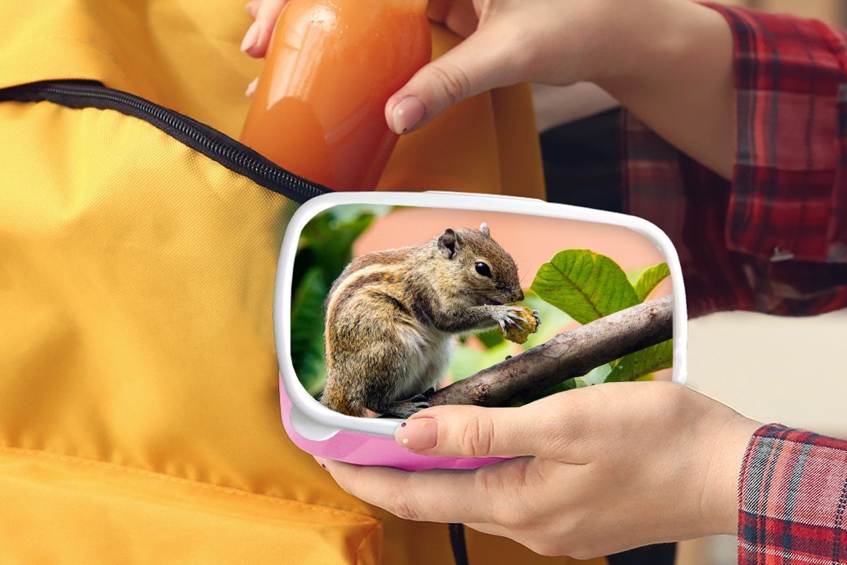 Brotdose Eichhörnchen, für Braun rosa Kunststoff, Erwachsene, Snackbox, Mädchen, Kinder, (2-tlg), MuchoWow Lunchbox Kunststoff gestreiftes Brotbox