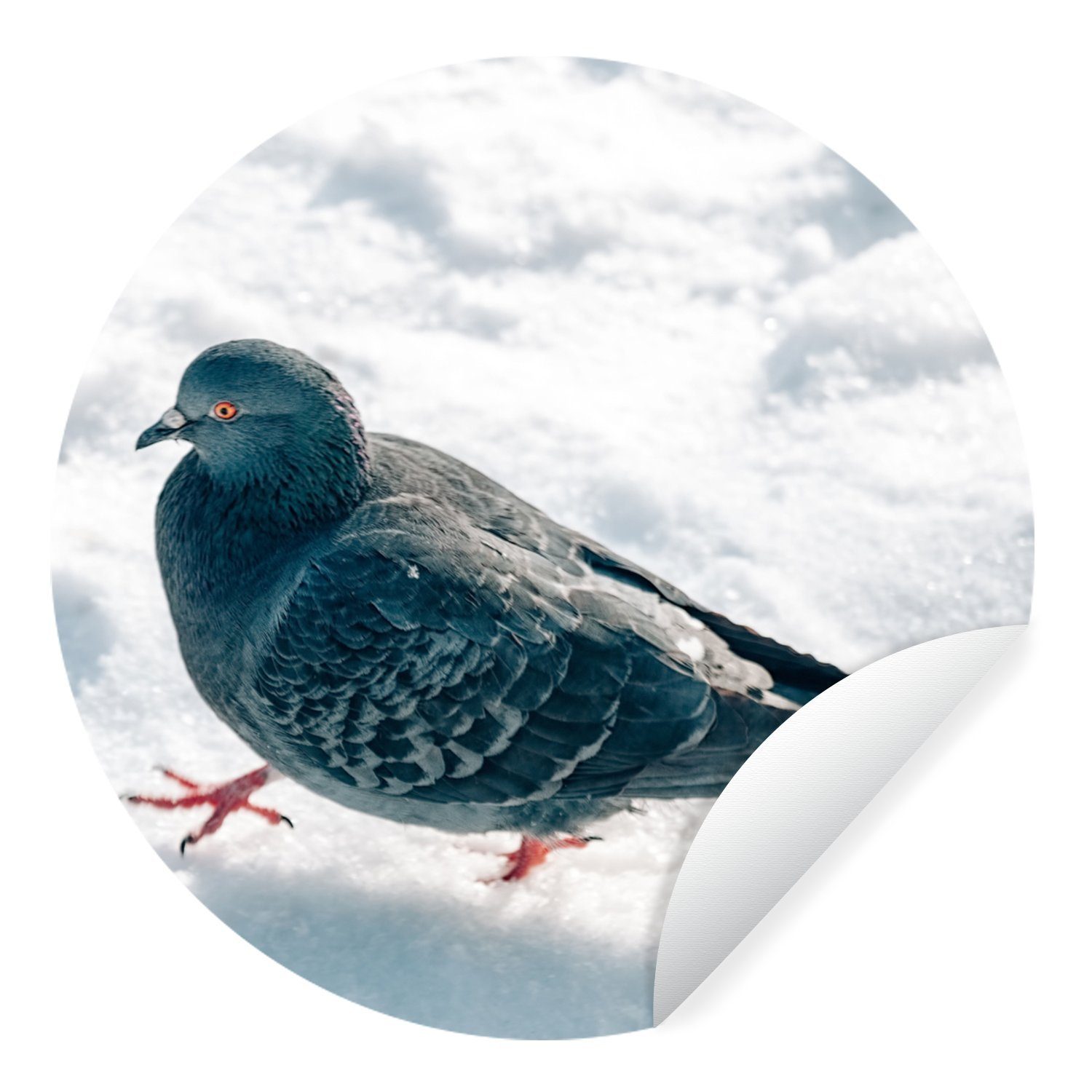 MuchoWow Wandsticker Taube - Schnee - Vogel (1 St), Tapetenkreis für Kinderzimmer, Tapetenaufkleber, Rund, Wohnzimmer