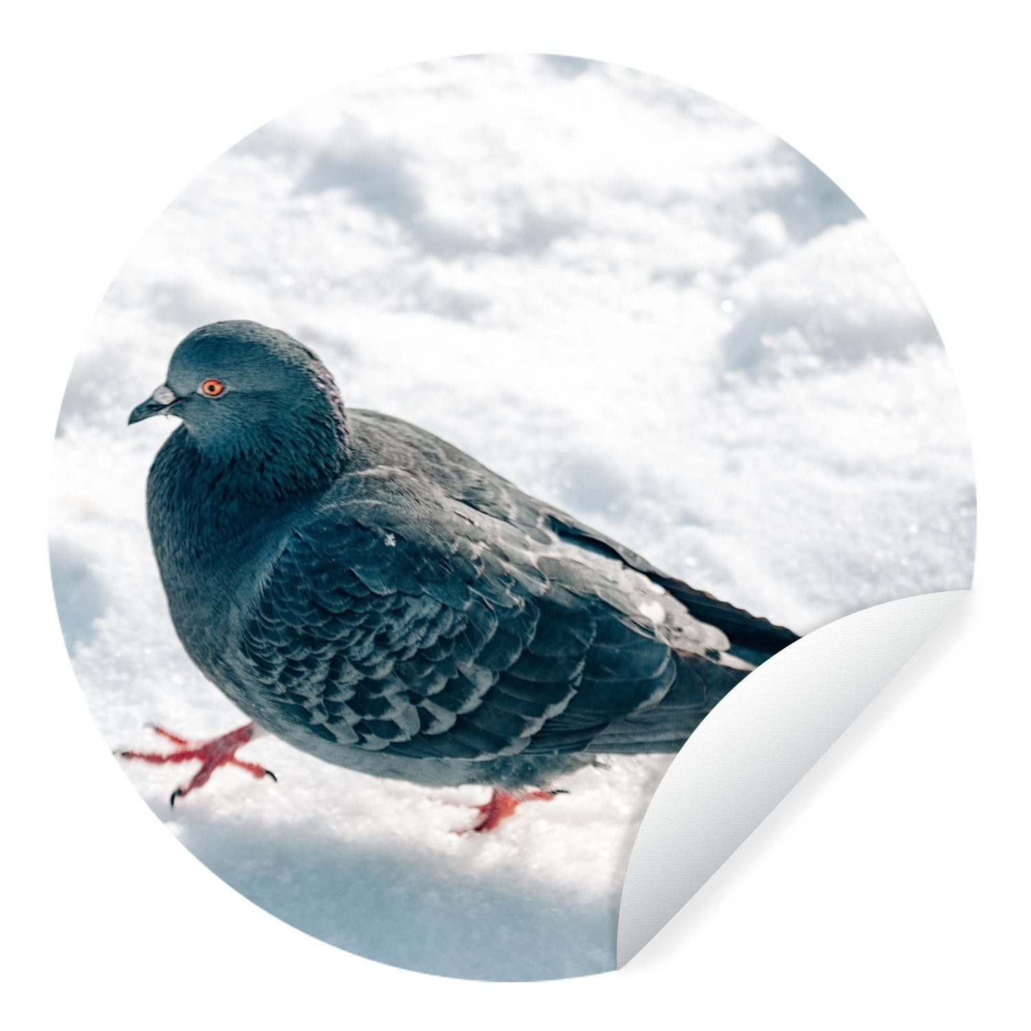 Kinderzimmer, Schnee Wandsticker Vogel Wohnzimmer St), Rund, Tapetenkreis Tapetenaufkleber, Taube MuchoWow (1 - für -