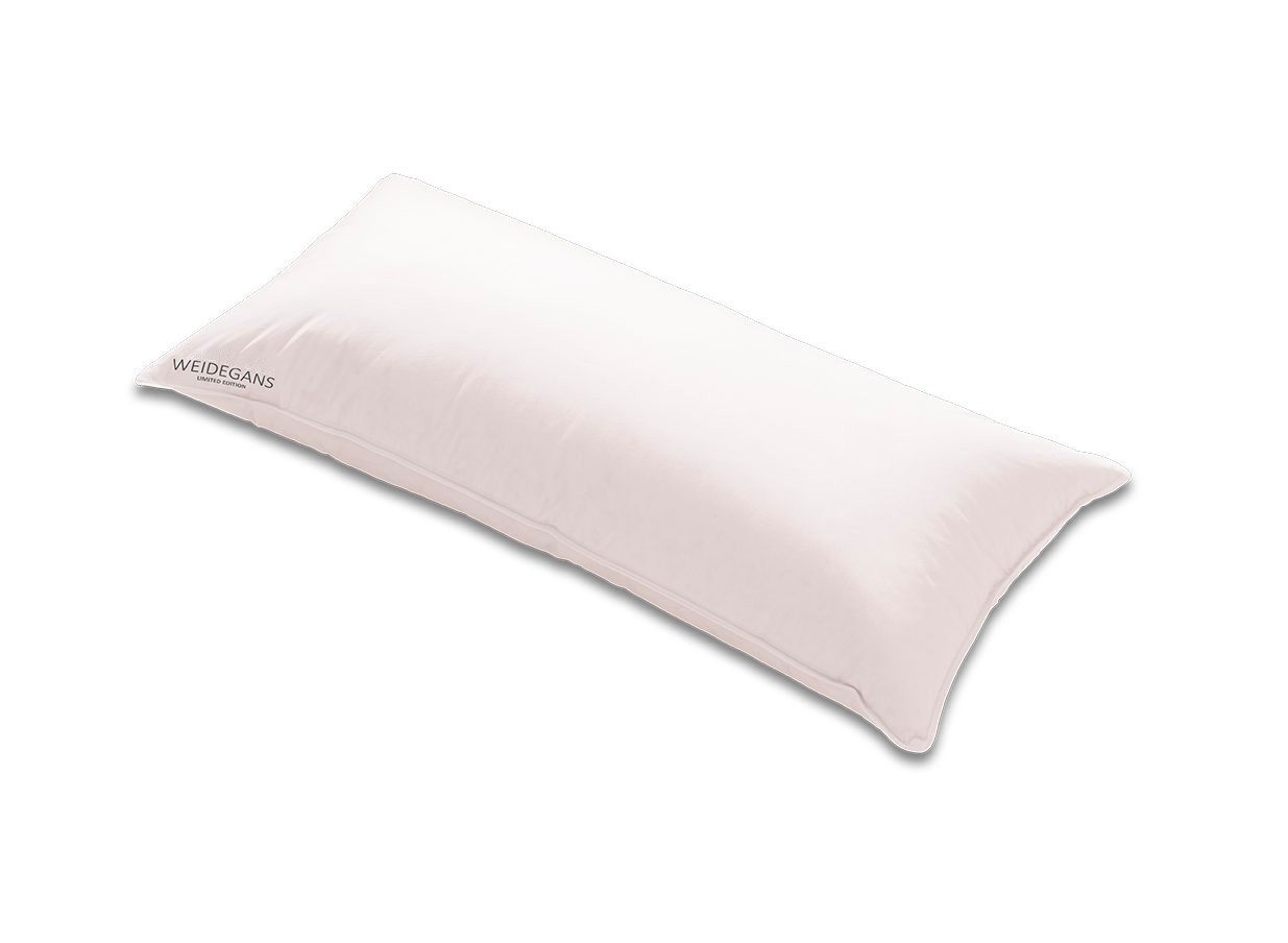 Kauffmann Gänsedaunenkopfkissen 3 Kammerkissen "Weidegans Limited Edition", Füllung: Außen: 100% Gänsedaunen/ Innen: 100% Gänsefedern, Bezug: 100% Baumwolle, Rückenschläfer, Bauchschläfer, Seitenschläfer, Hervorragende Stützwirkung des Kopf- & Nackenbereichs
