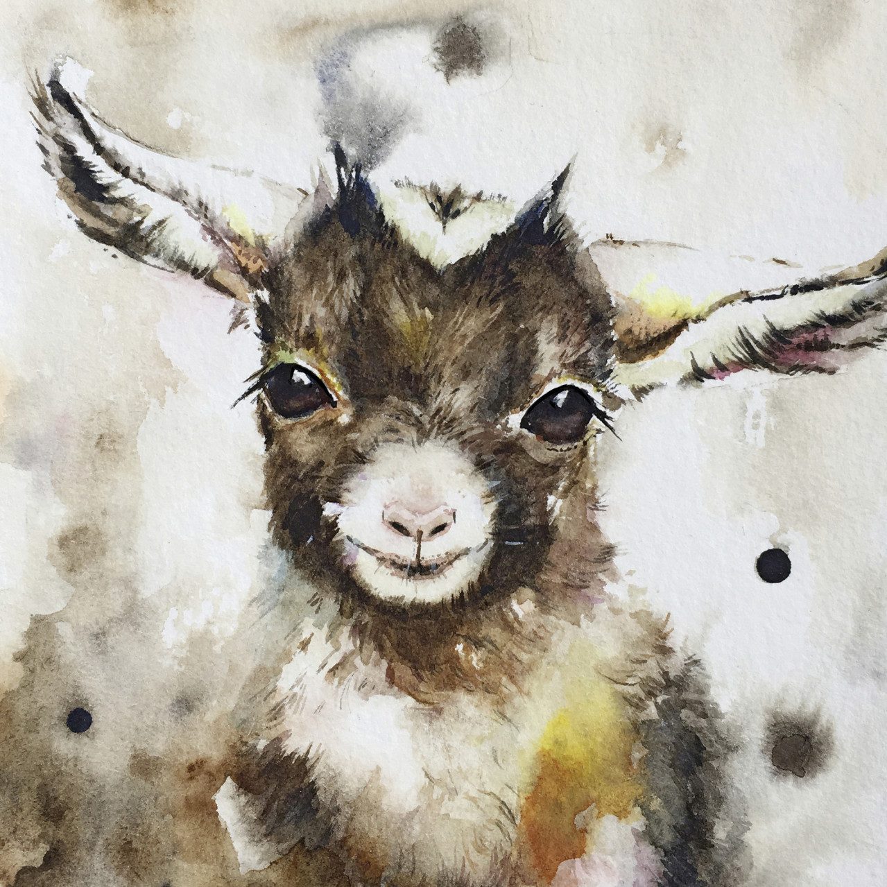 The Wall - the art of framing AG Wandbild Keilrahmenbild Ziege 30 x 30 cm, Tiere