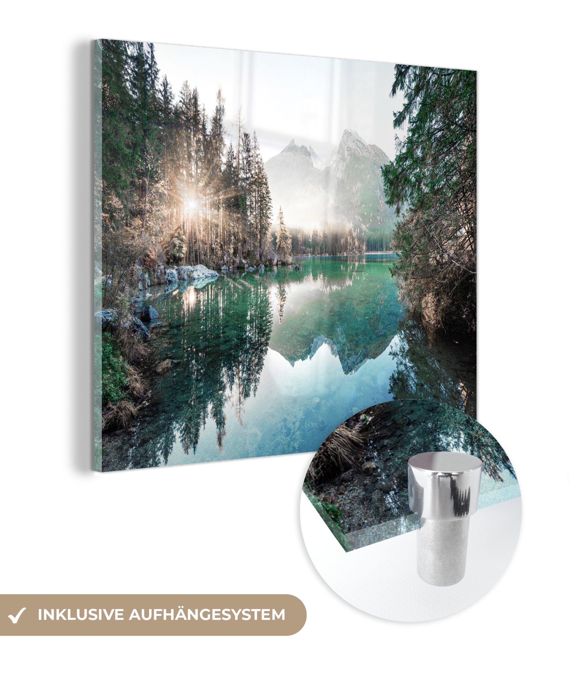 MuchoWow Acrylglasbild Natur - Bäume - günstig online kaufen