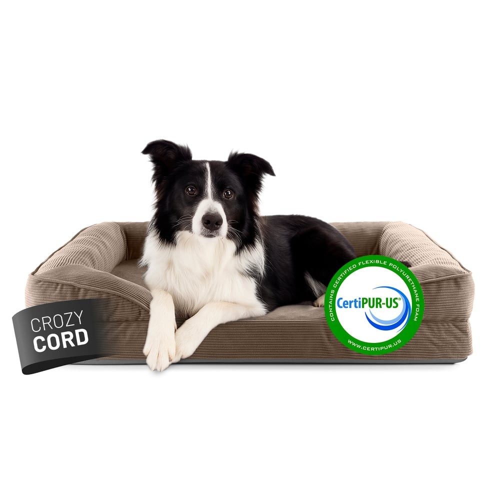 Lumaland Hundebett Hundebett Indoor Cord M 90x65x18cm hellbraun vakuumiert, Hundesofa orthopädisch Hundekorb Tierbett waschbar hoher Rand