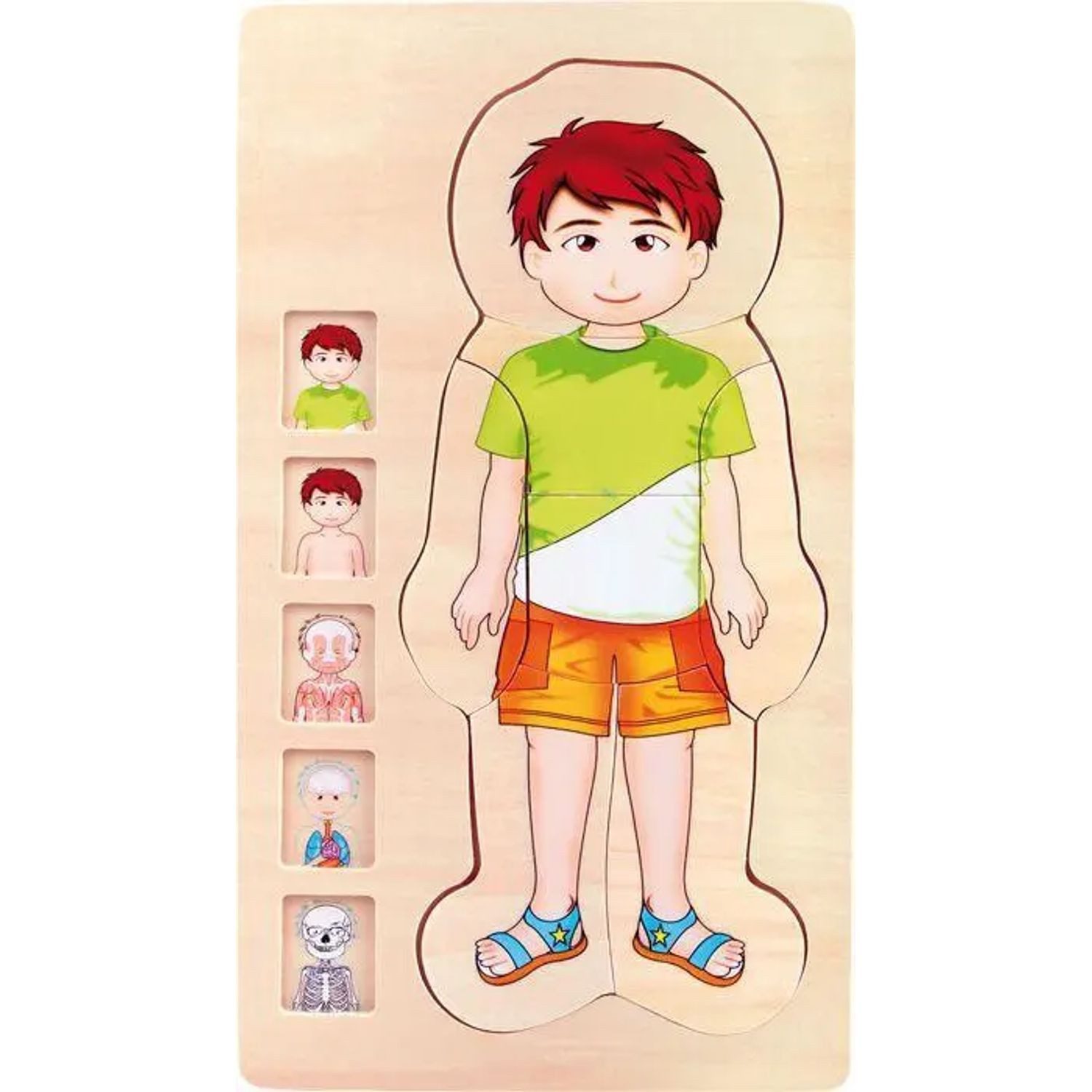Small Foot Puzzle Schichtenpuzzle Anatomie Junge, Puzzleteile