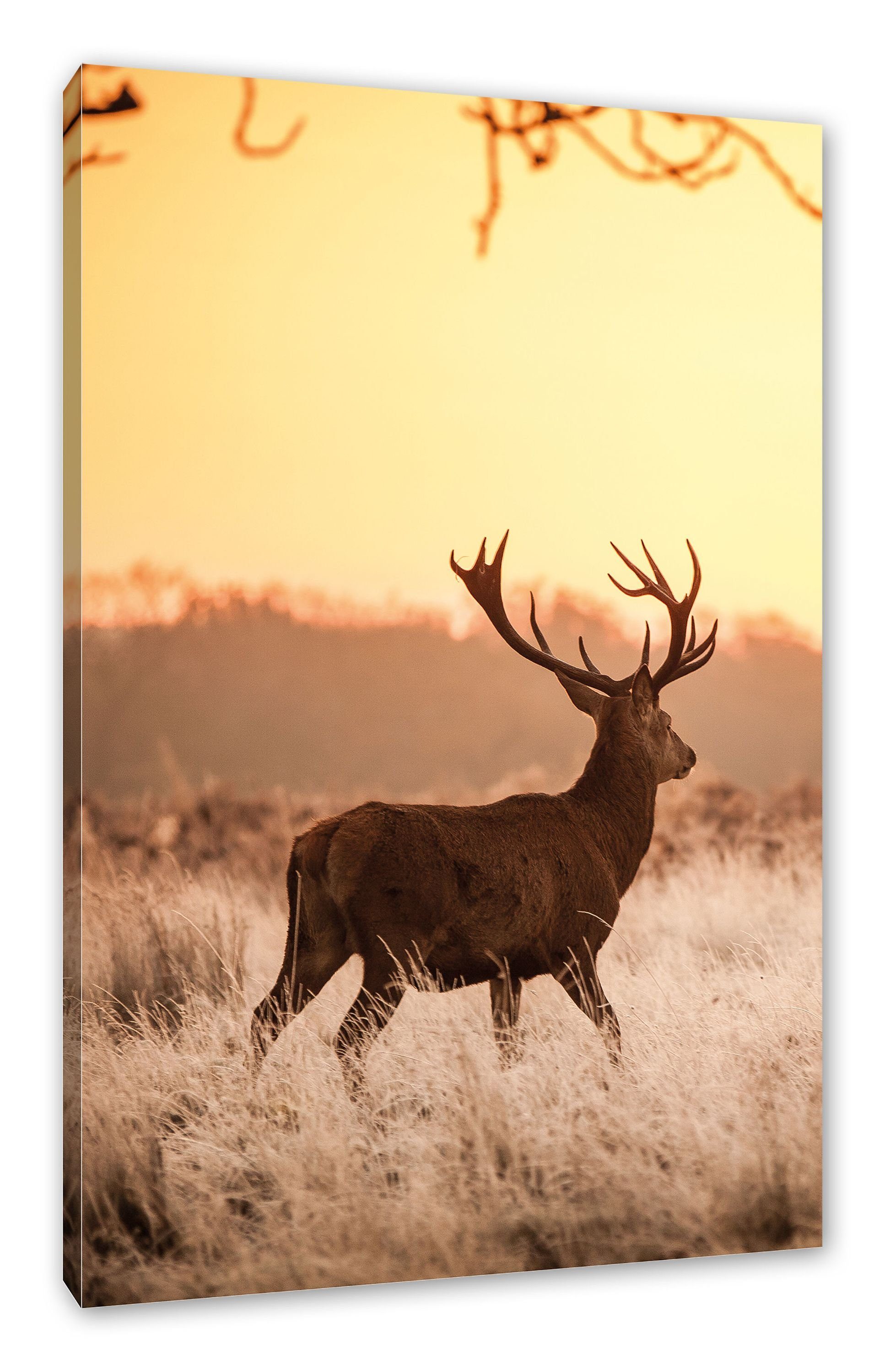 inkl. Sonnenuntergang, St), im Zackenaufhänger im bespannt, (1 Leinwandbild Hirsch Hirsch Leinwandbild Sonnenuntergang fertig Pixxprint