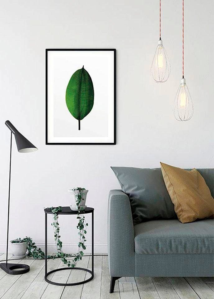 Komar Poster Ficus Leaf, Blätter, Pflanzen St), Schlafzimmer, (1 Wohnzimmer Kinderzimmer