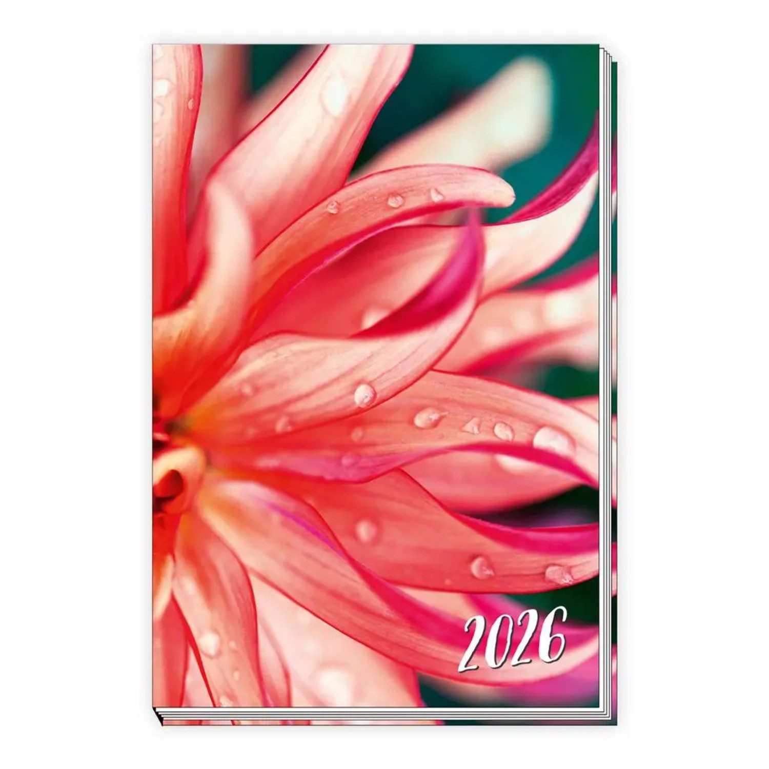 Trötsch Verlag Taschenkalender Trötsch Taschenkalender A6 Flowers 2026