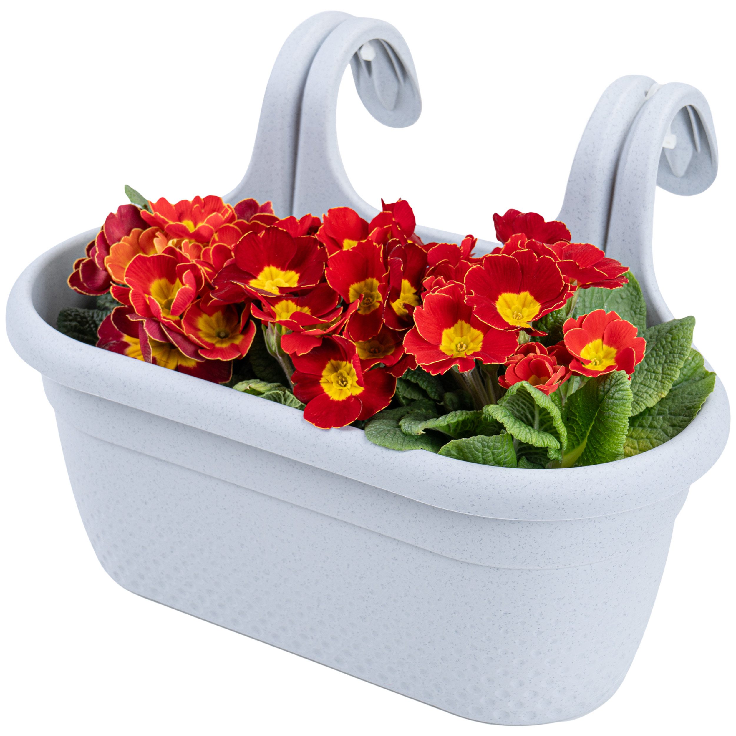 KONZEPT Balkonkasten Balkon Blumenkasten mit Halterung 6,2 L, Balkonkasten für Geländer, Blumenkasten aus wetterfestem Kunststoff