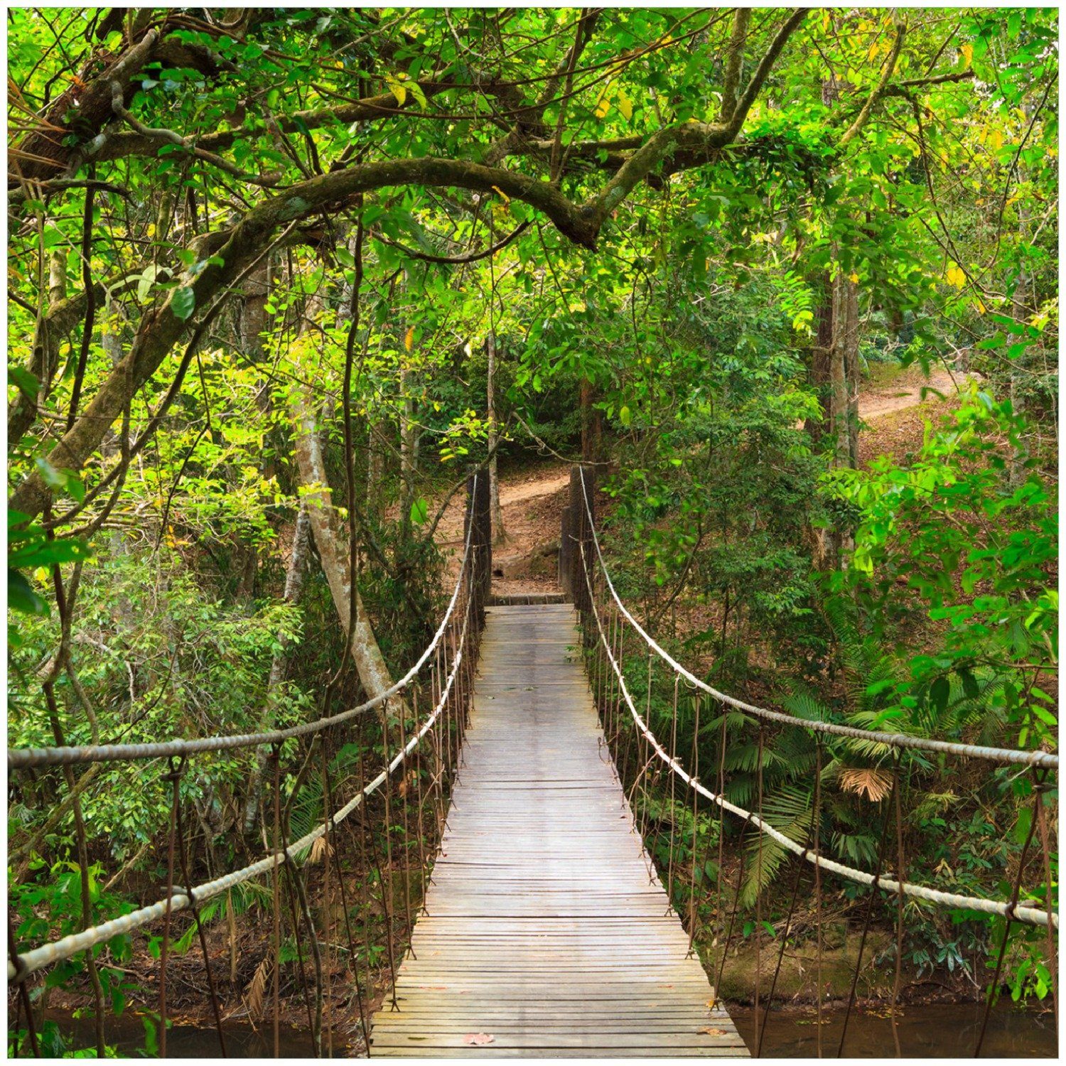Wallario Memoboard Hängebrücke im Urwald grüner Dschungel