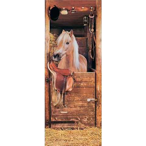 Papermoon Fototapete Horse in Stable - Türtapete, matt, (2 St)