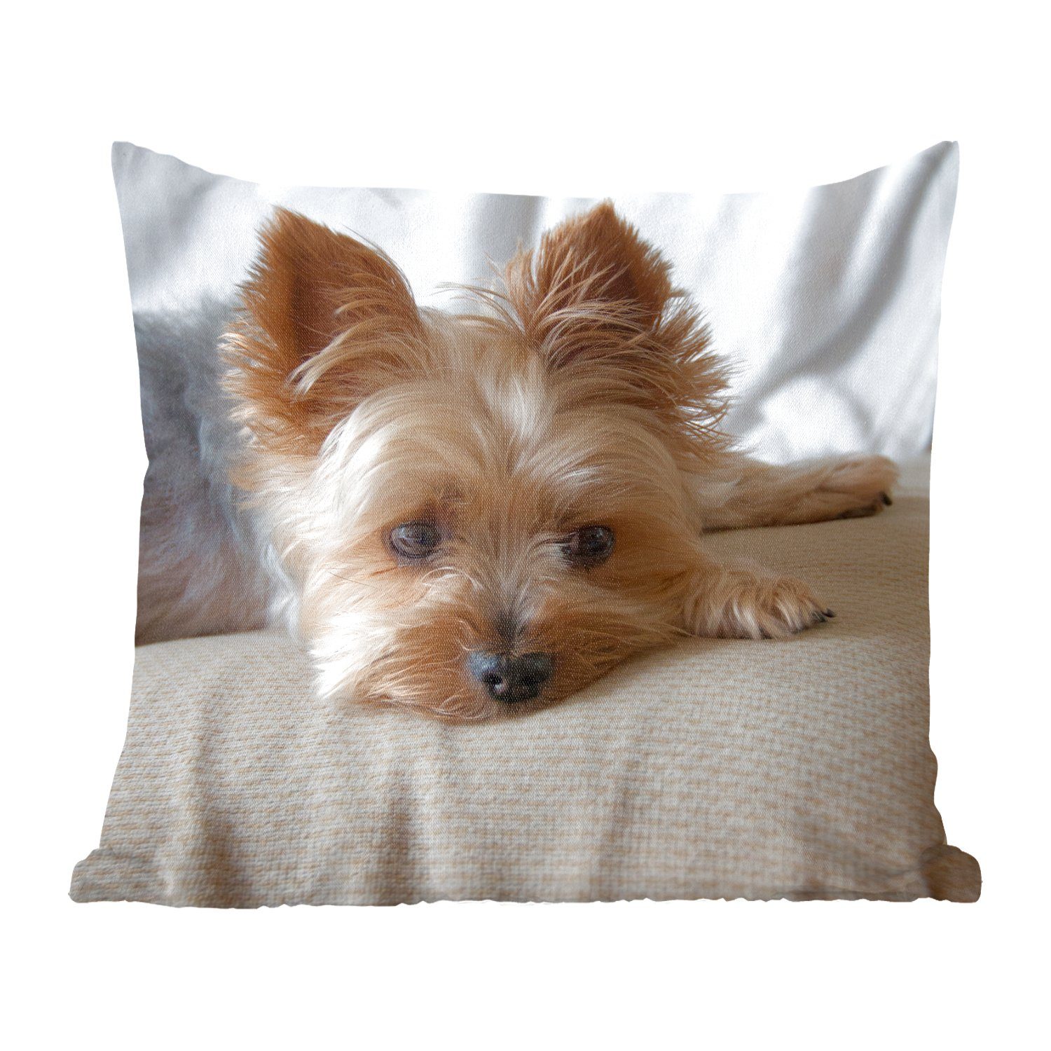 MuchoWow Dekokissen Yorkshire Terrier liegt schlafend auf dem Sofa, Zierkissen mit Füllung für Wohzimmer, Schlafzimmer, Deko, Sofakissen | Dekokissen