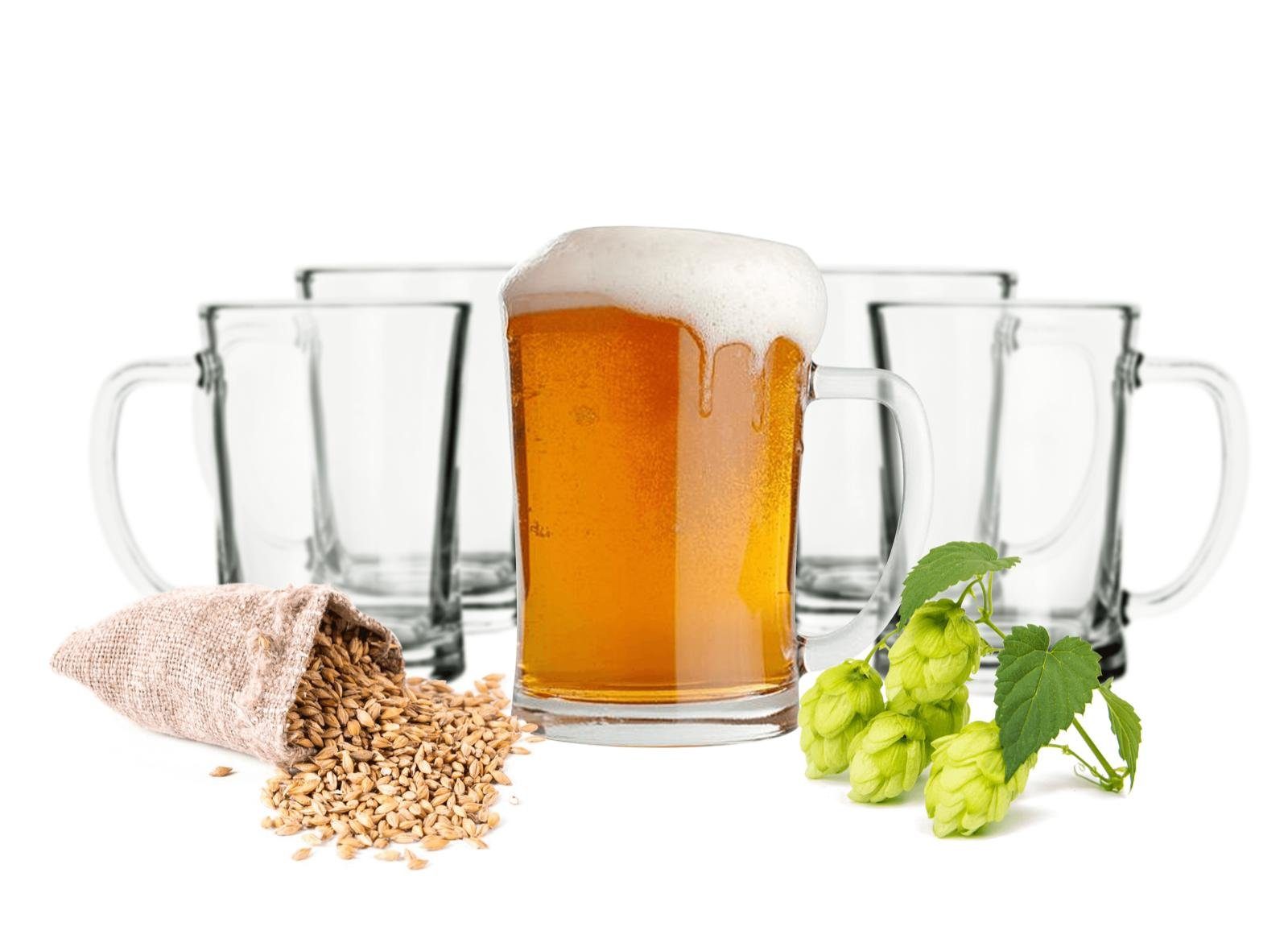 Sendez Bierglas 6 Biergläser mit Henkel 500ml Bierseidel Bierkrüge Bierkrug Glas, 6-tlg., Glas