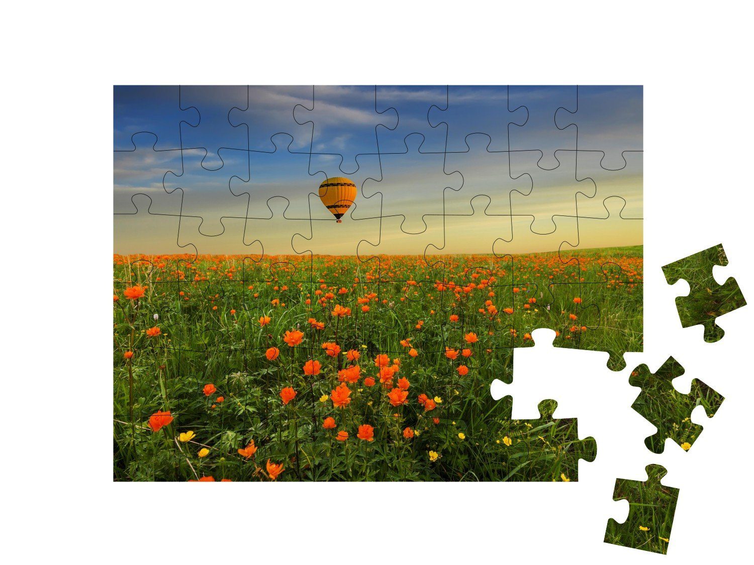Pflanzen Heißluftballon Blumenwiesen, Puzzle Puzzleteile, puzzleYOU Blumen 48 & puzzleYOU-Kollektionen blühenden Gelber Wiese, über der