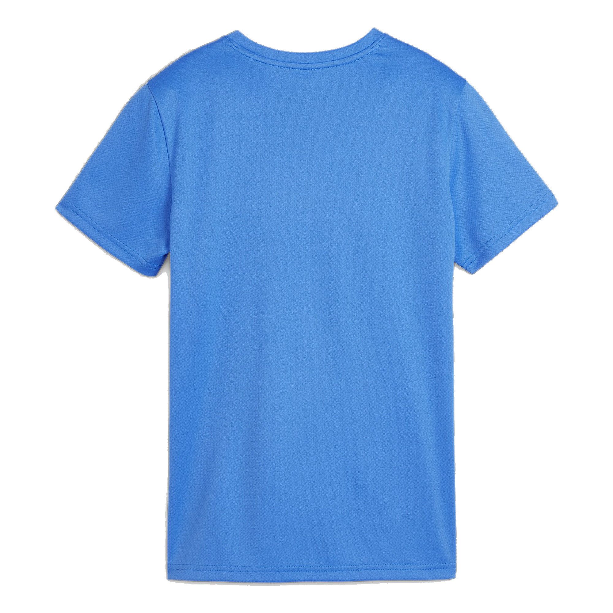 PUMA Fußballtrikot Puma Damen Trikot teamGOAL günstig online kaufen
