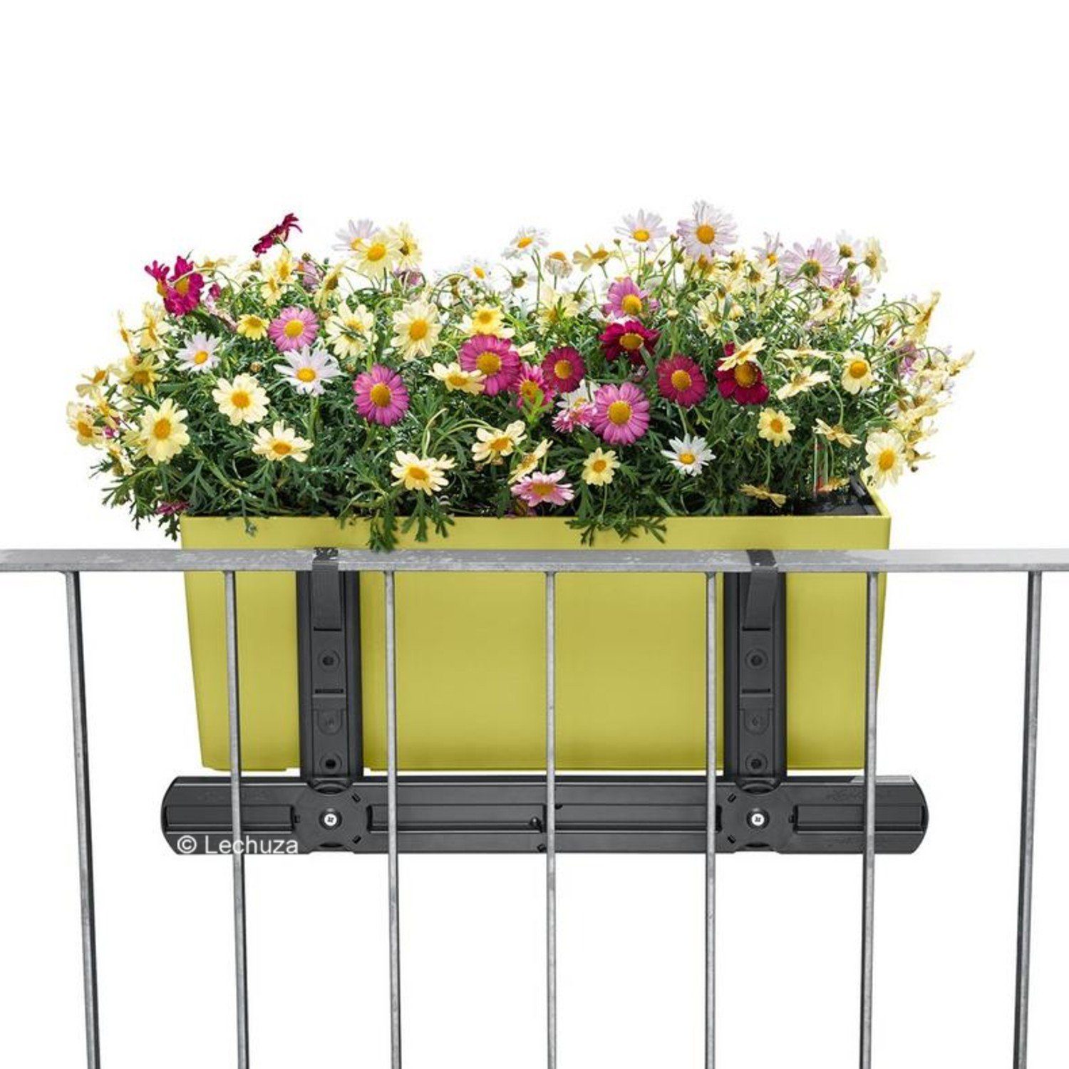 Lechuza® Balkonkasten Balkonkasten Balconera Color 80 muskat (Komplettset)